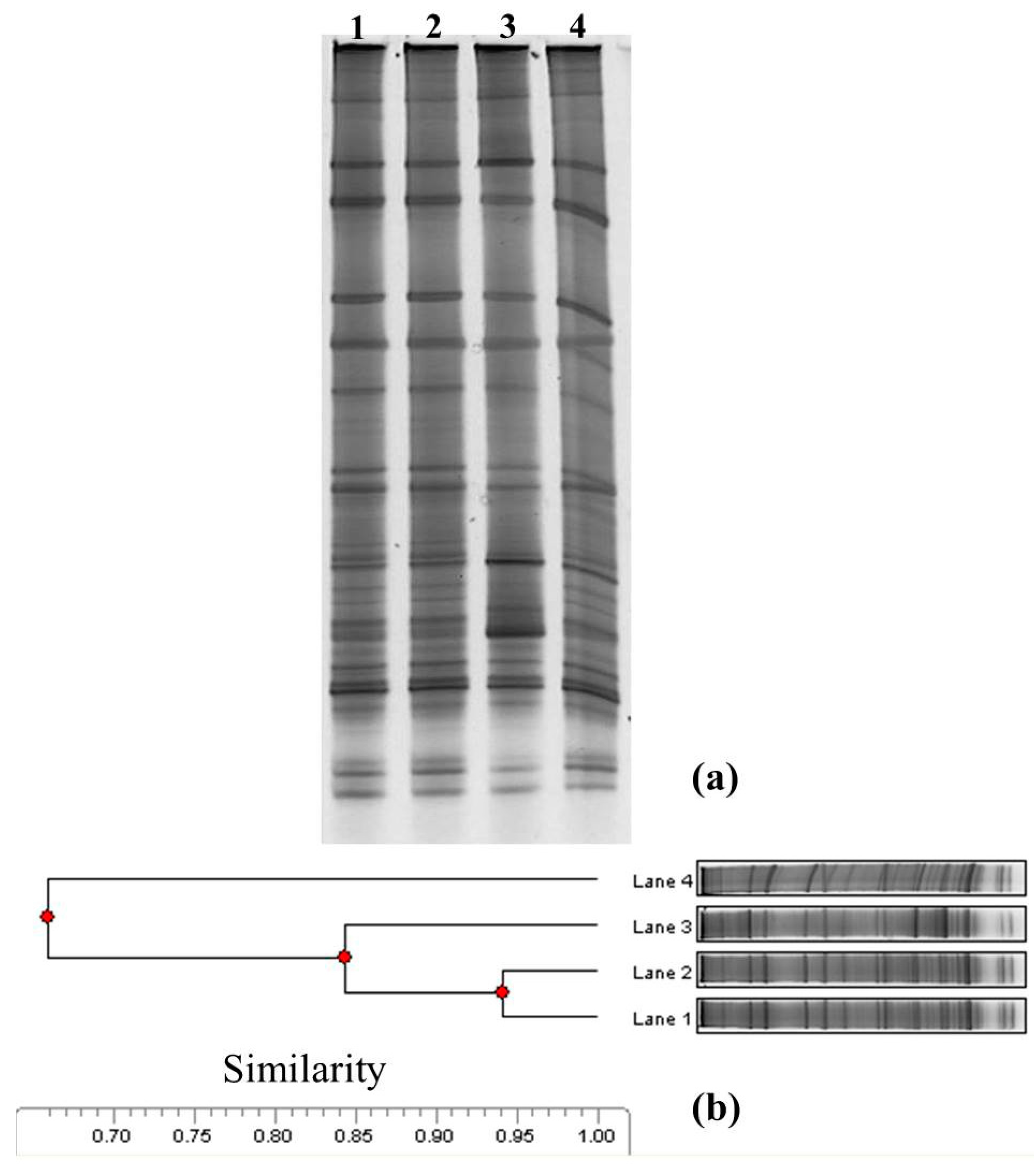 Sustainability 09 00863 g004