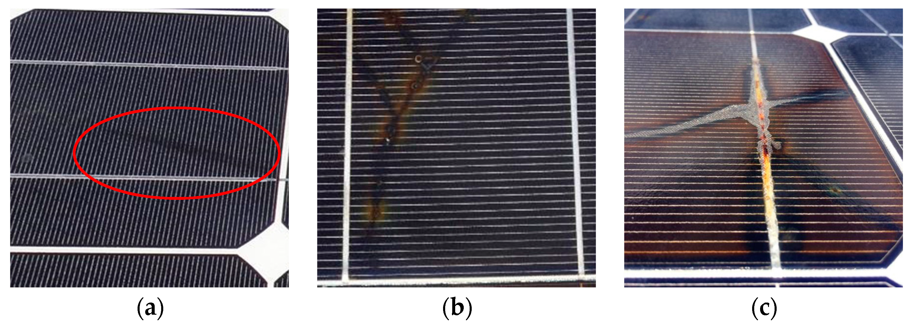 Sustainability 09 00965 g001a