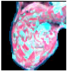 Sustainability 09 01054 i004