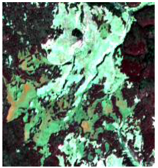 Sustainability 09 01054 i005