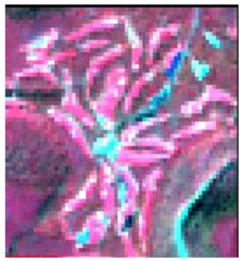 Sustainability 09 01054 i006