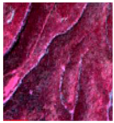 Sustainability 09 01054 i009