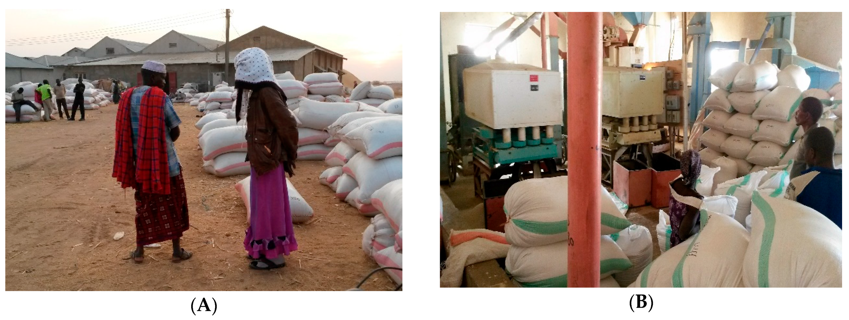 Sustainability 09 01081 g004