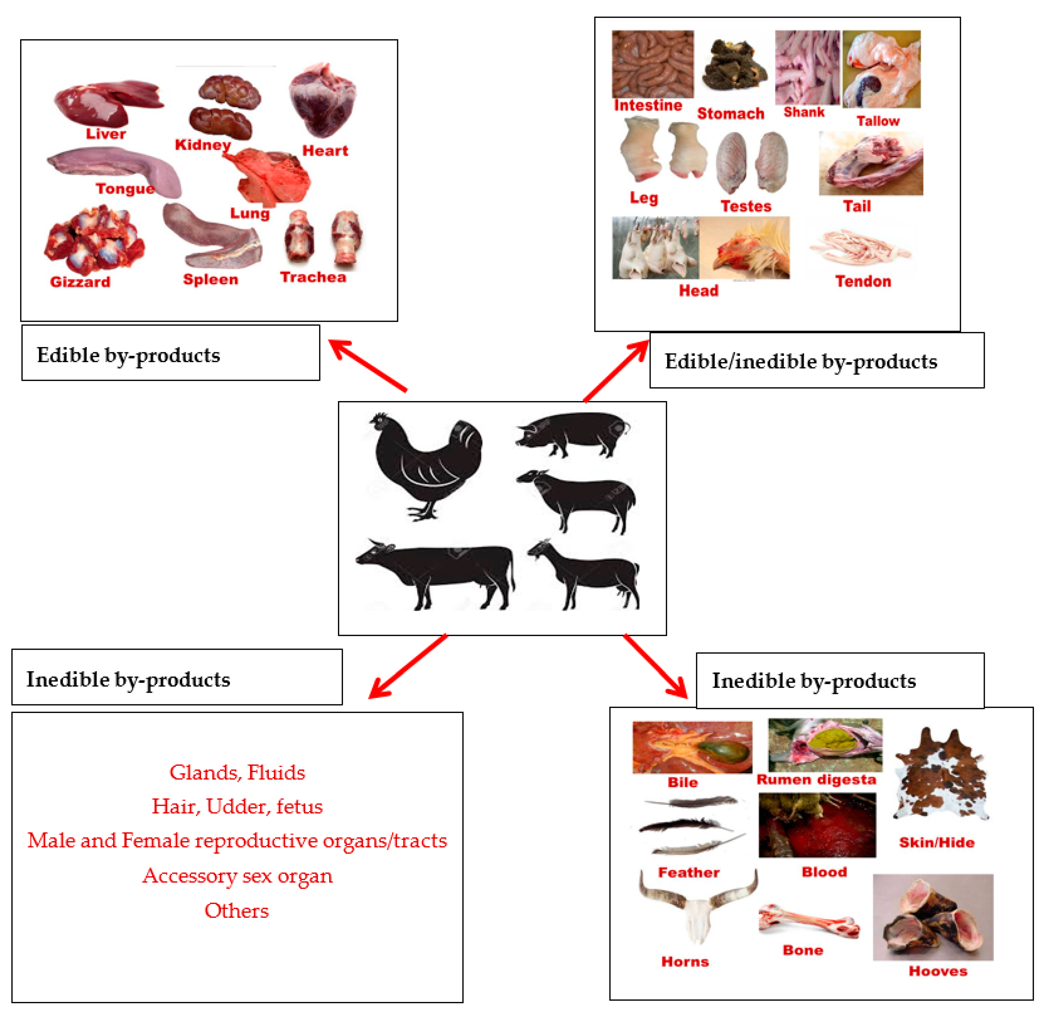 Sustainability 09 01089 g002