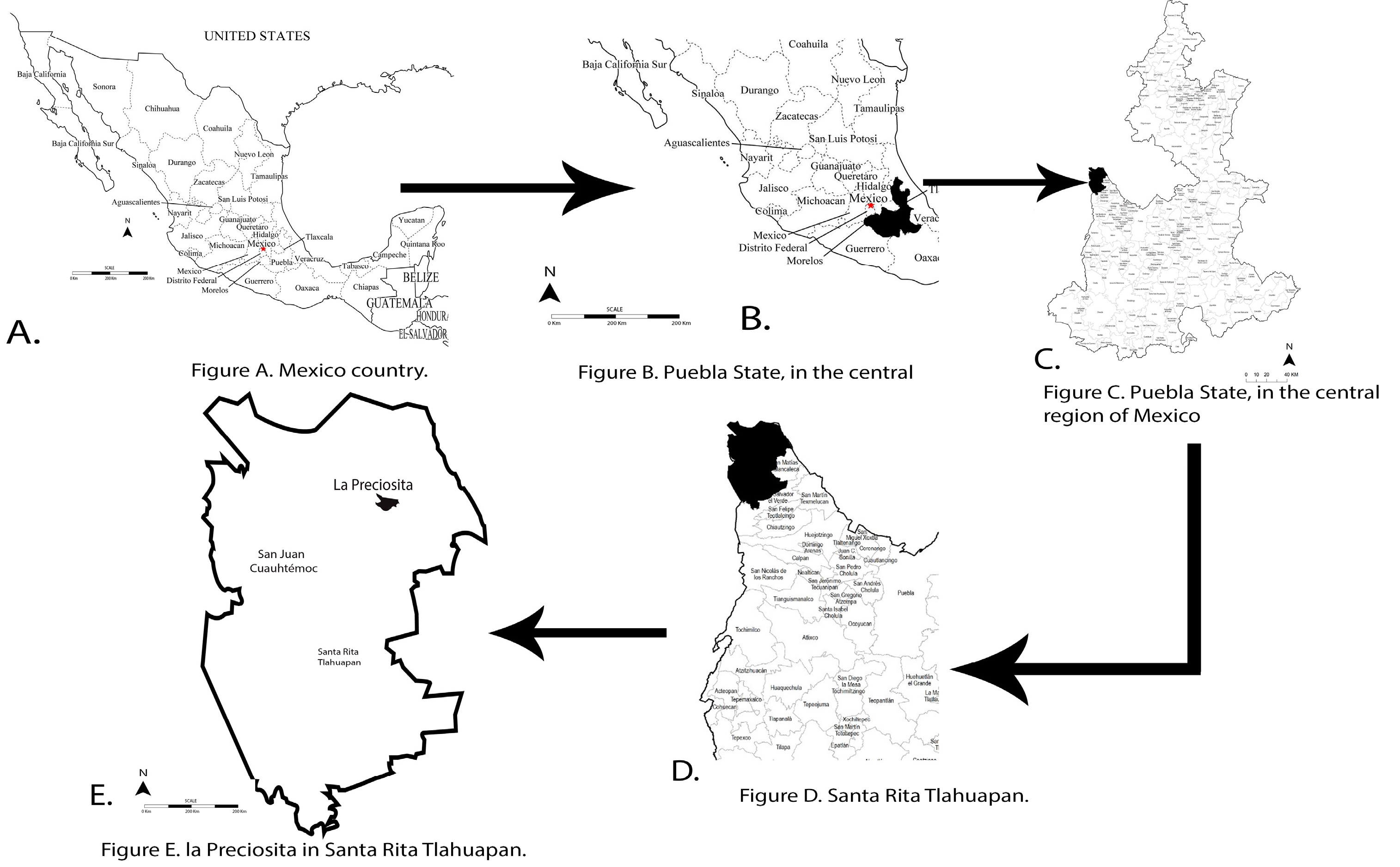 Sustainability 09 01134 g001