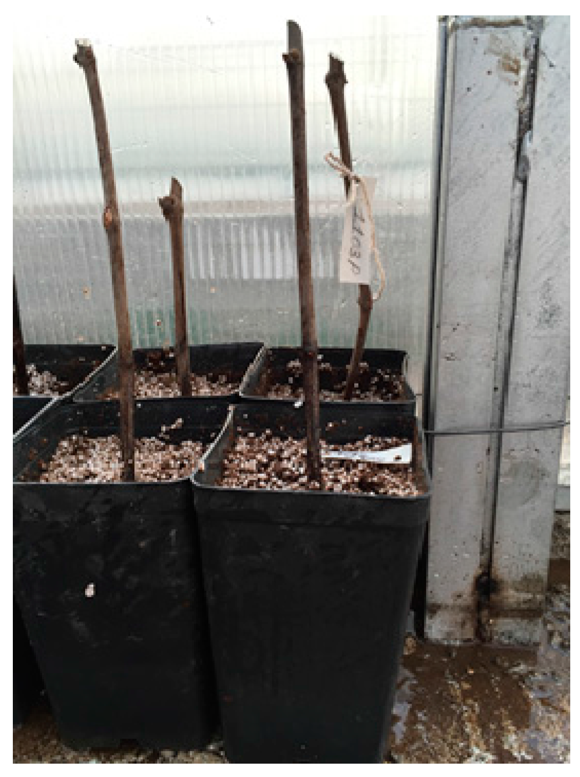 Sustainability 09 01275 g002