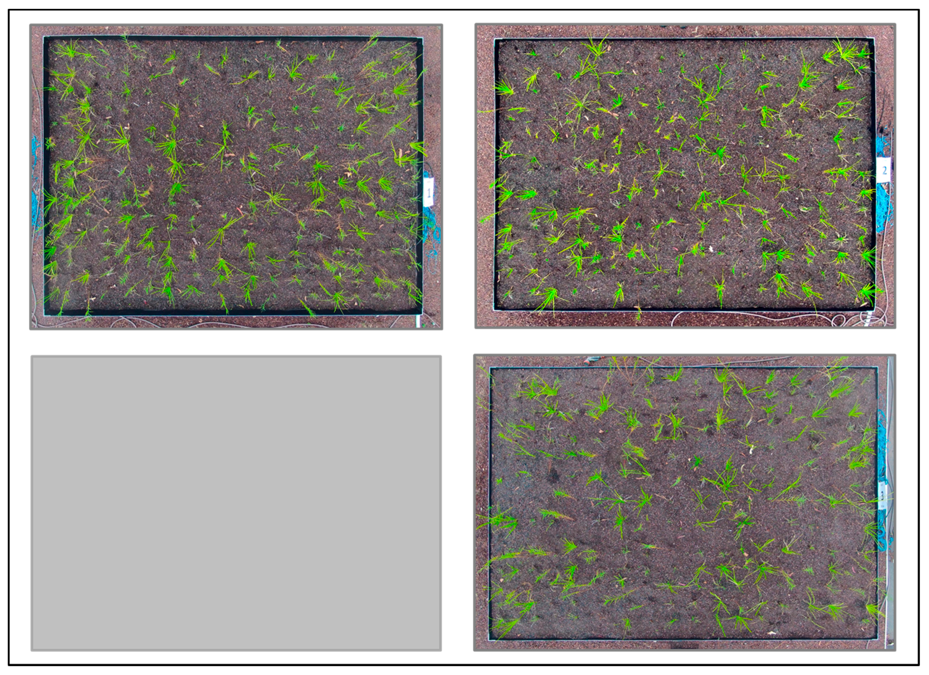 Sustainability 09 01451 g018