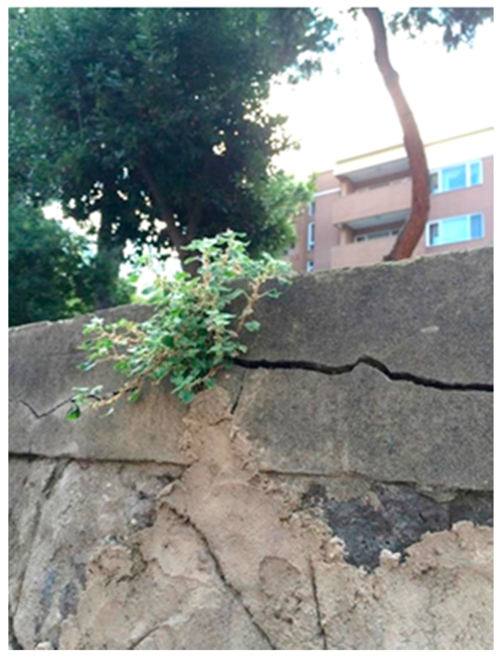 Sustainability 09 01691 g004