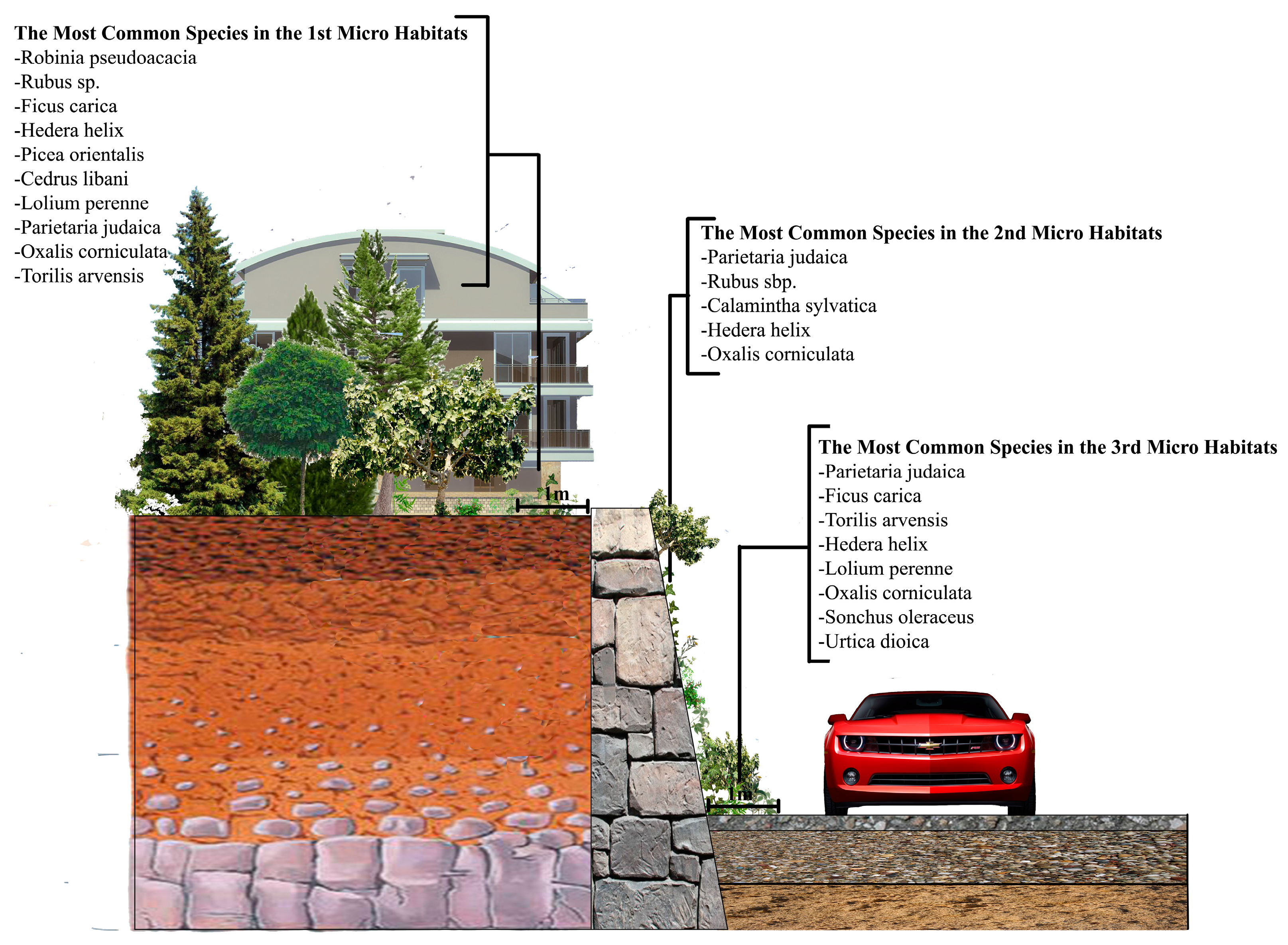 Sustainability 09 01691 g007
