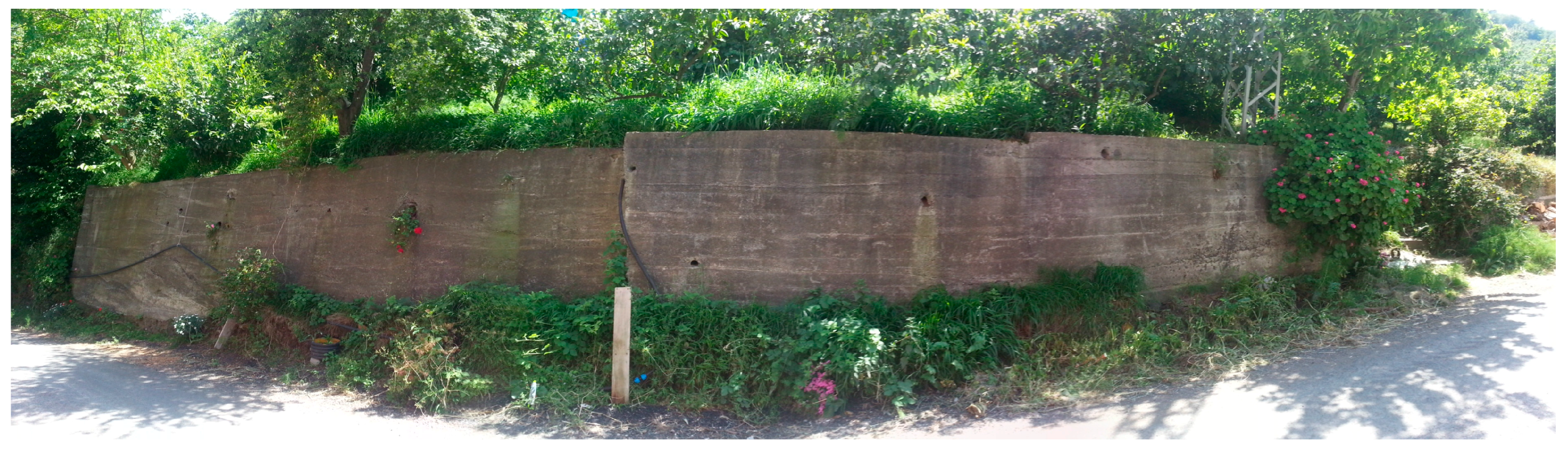 Sustainability 09 01691 g010