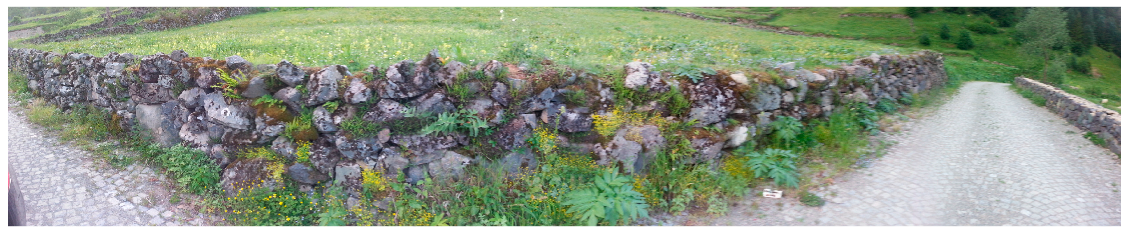 Sustainability 09 01691 g012