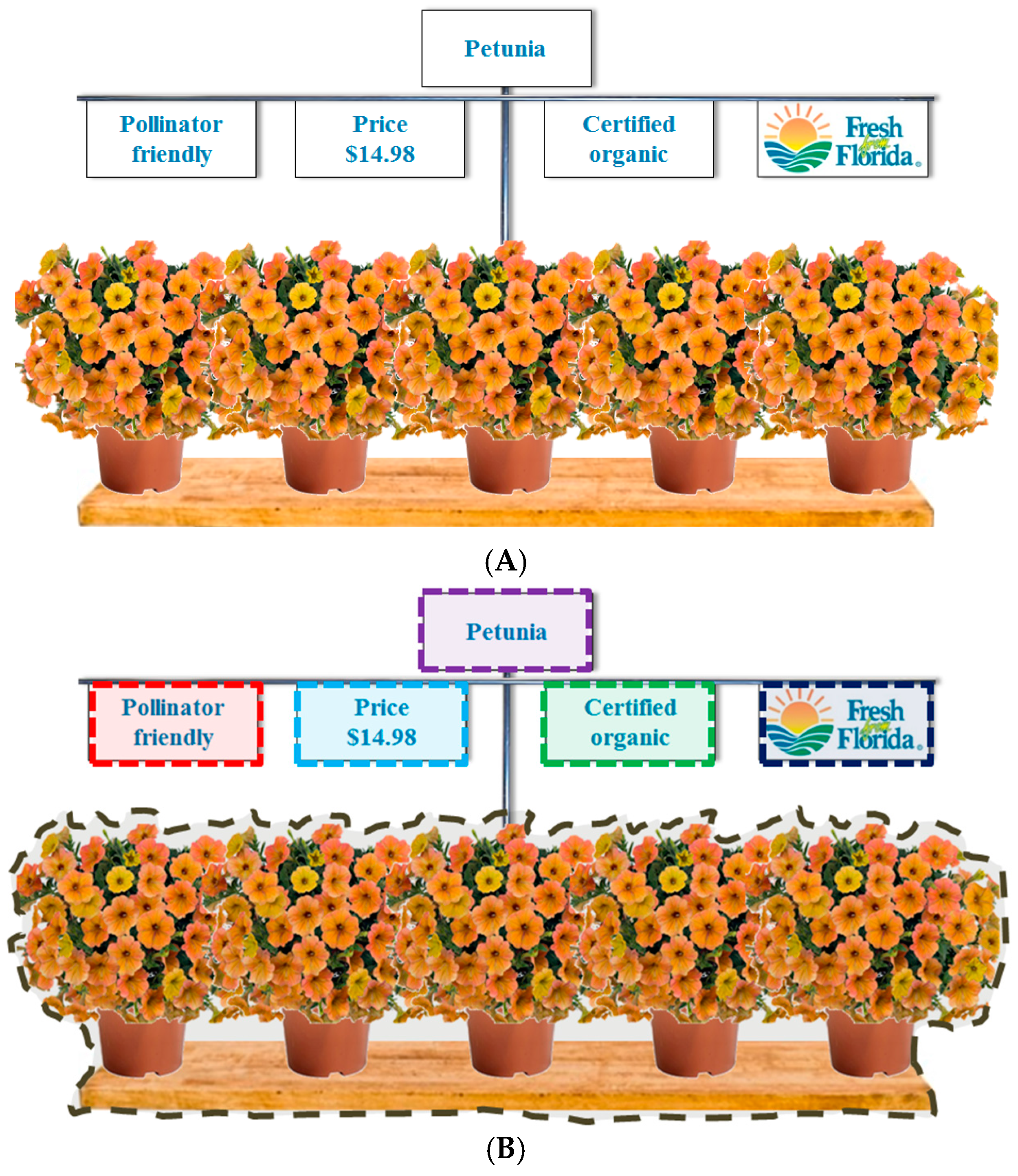 Sustainability 09 01743 g001