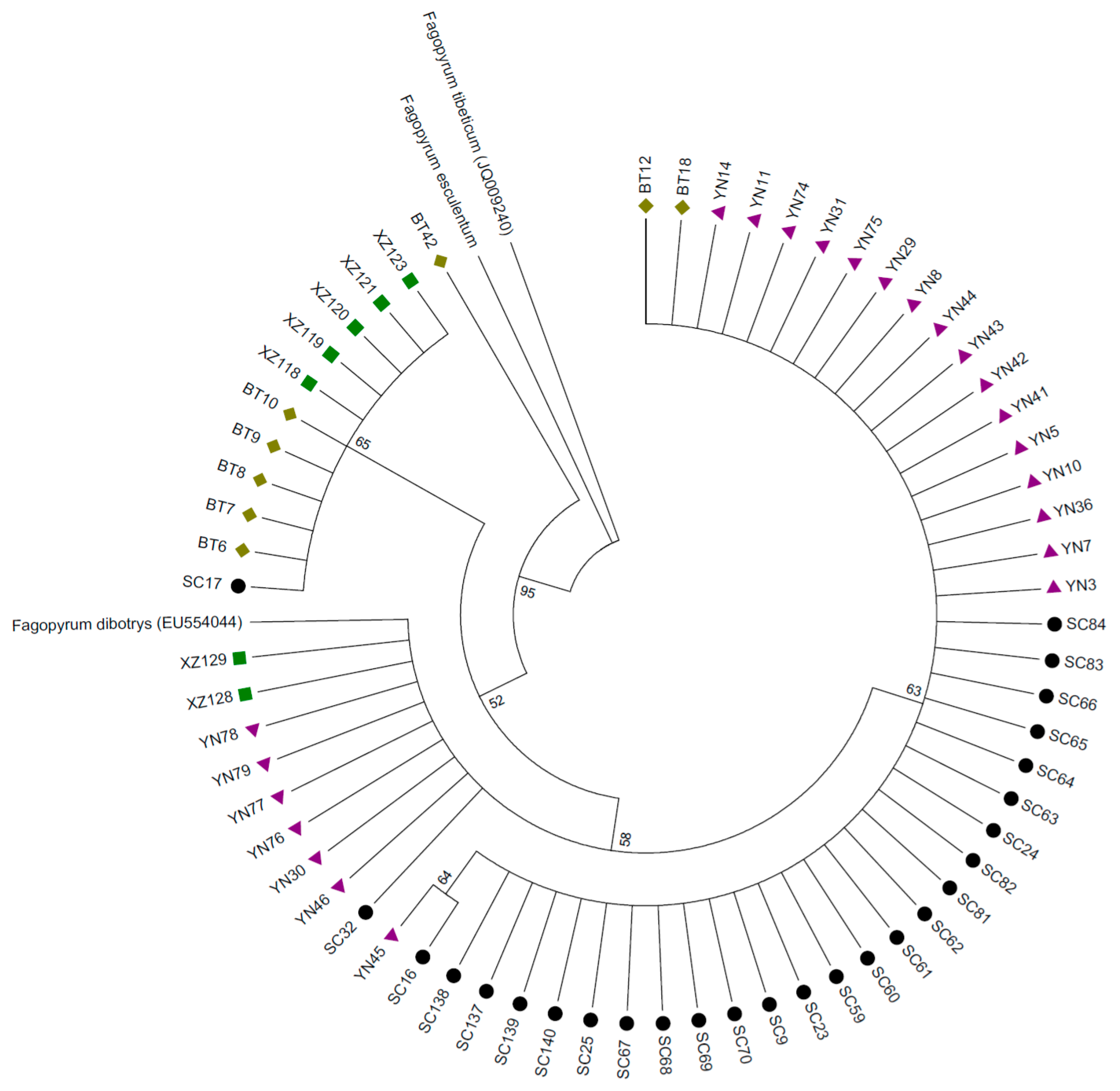 Sustainability 09 01806 g002