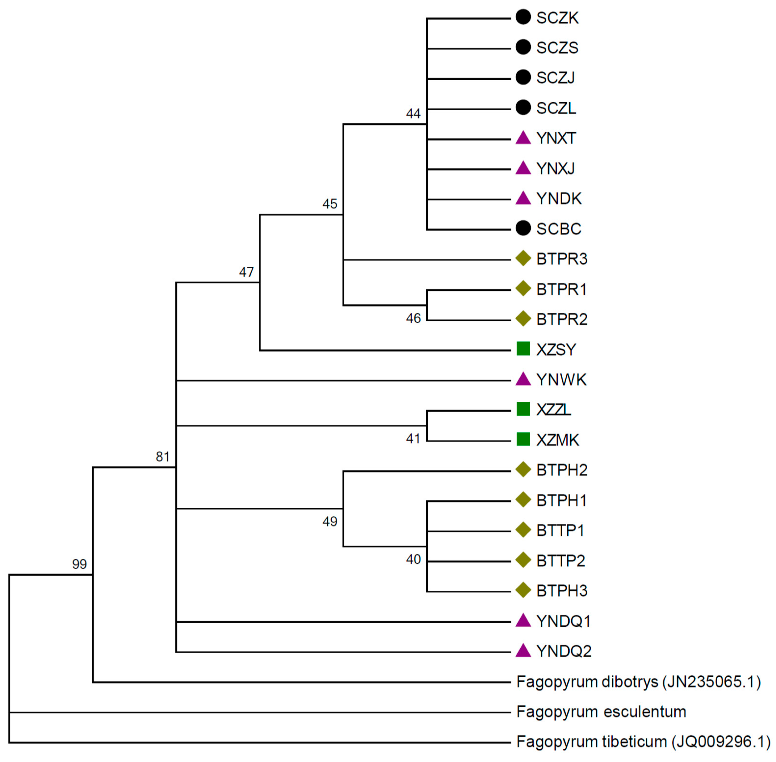 Sustainability 09 01806 g003
