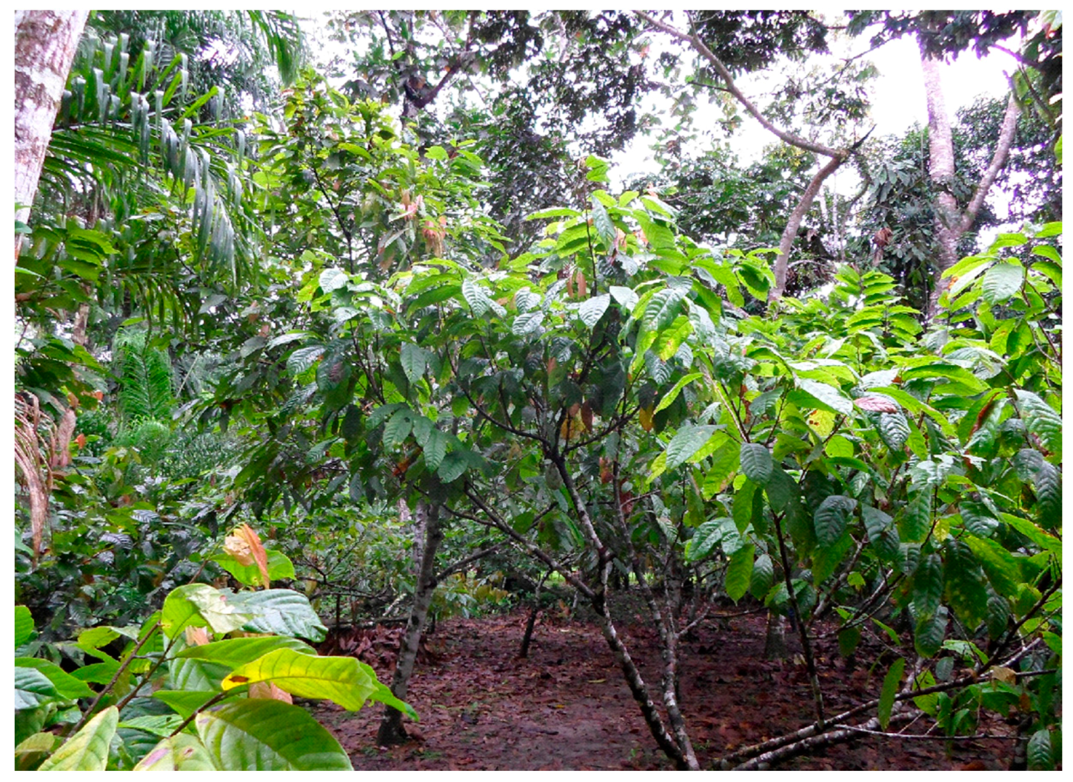 Sustainability 09 01920 g002