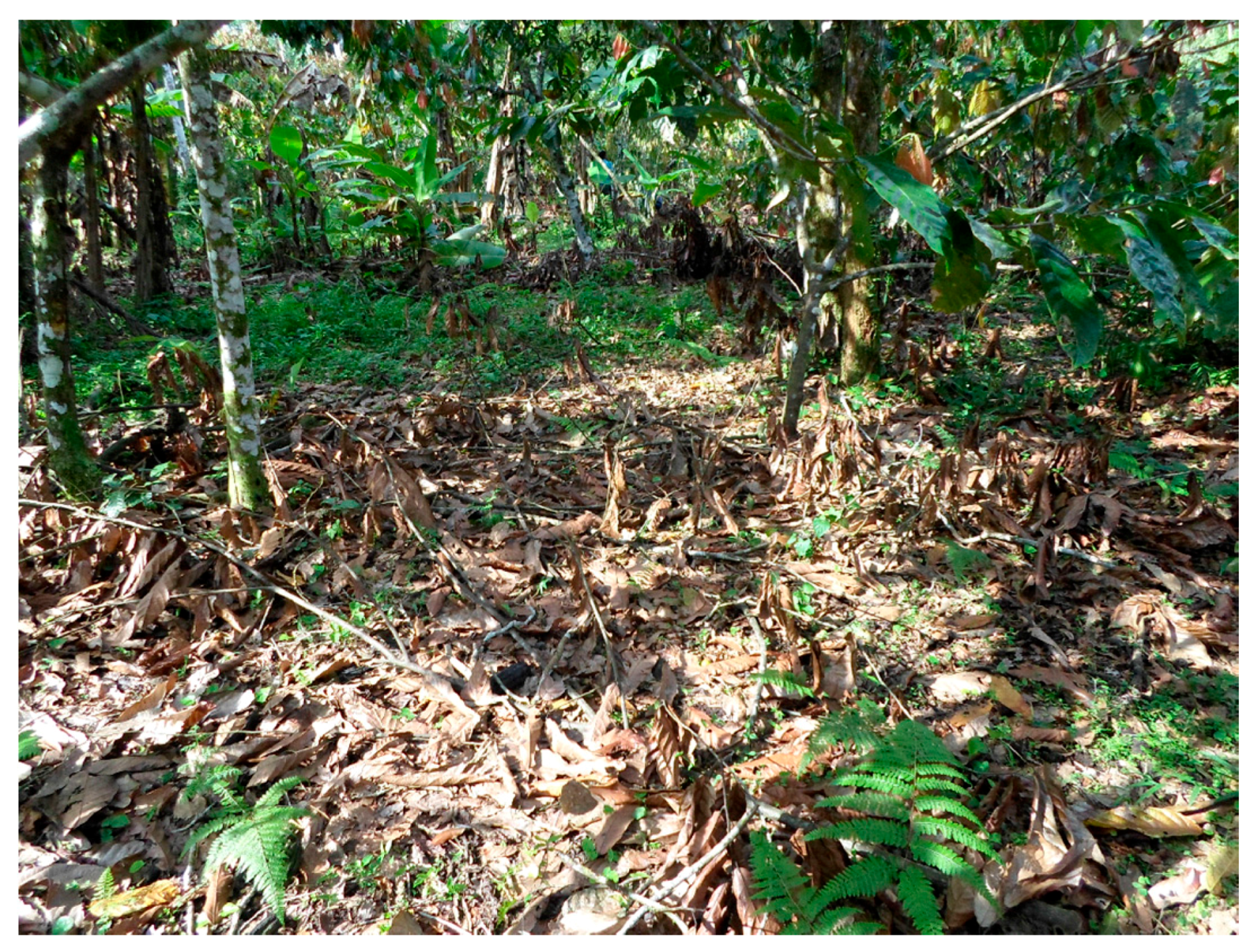 Sustainability 09 01920 g003