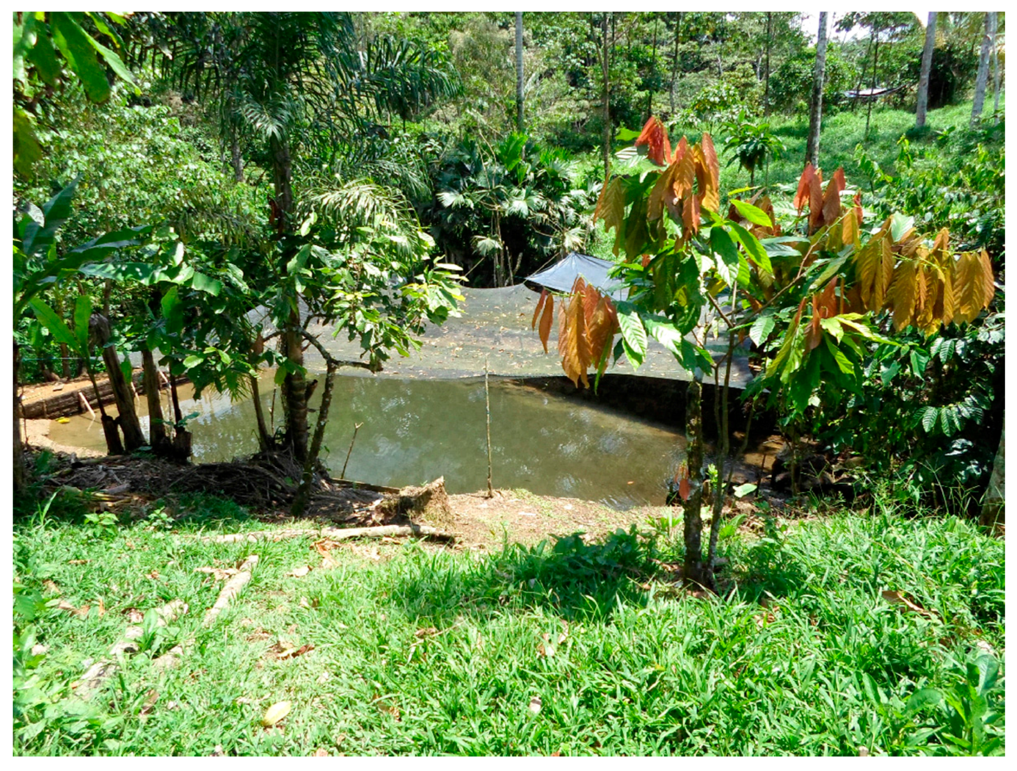 Sustainability 09 01920 g004