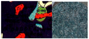 Sustainability 09 01925 i009