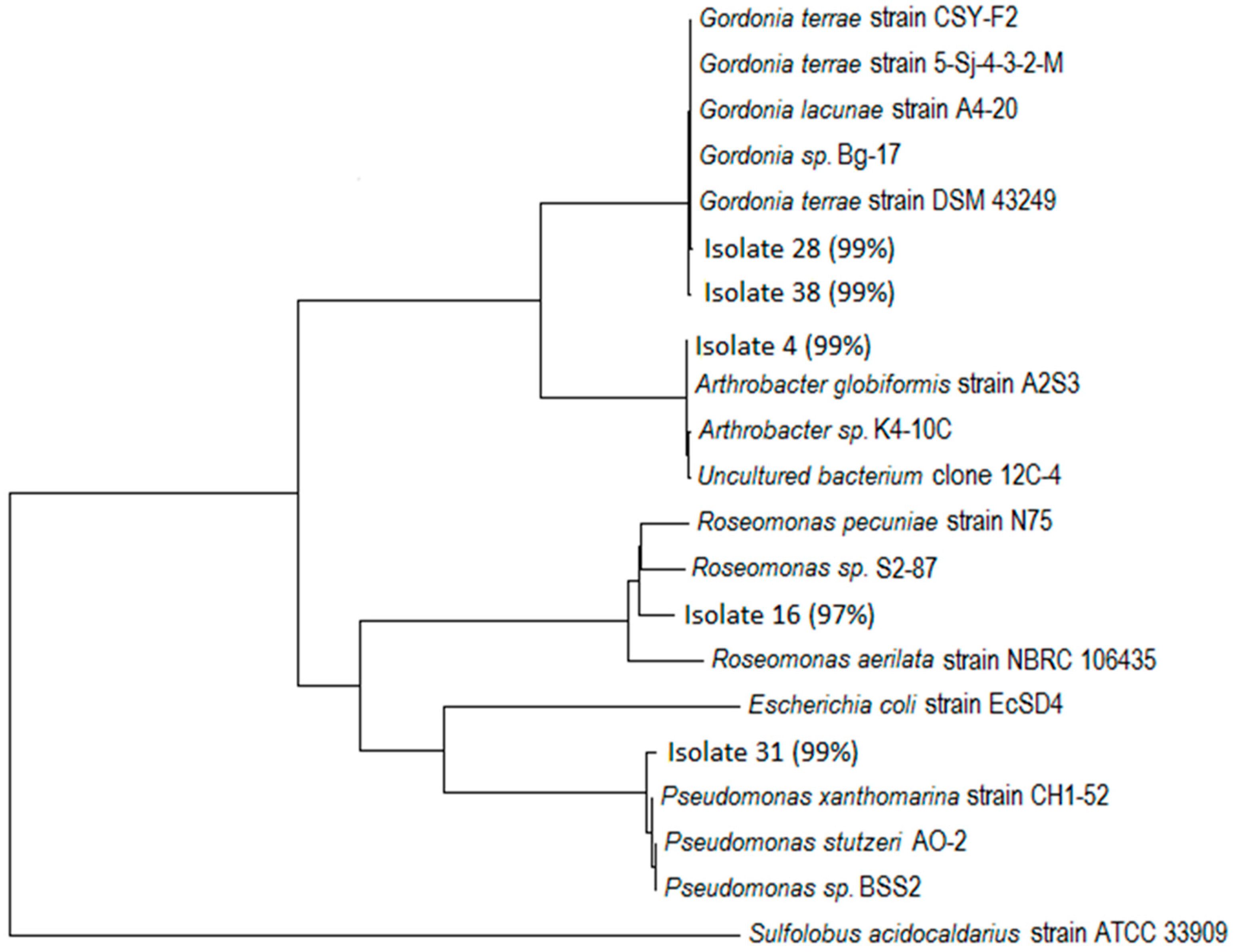 Sustainability 09 02095 g001