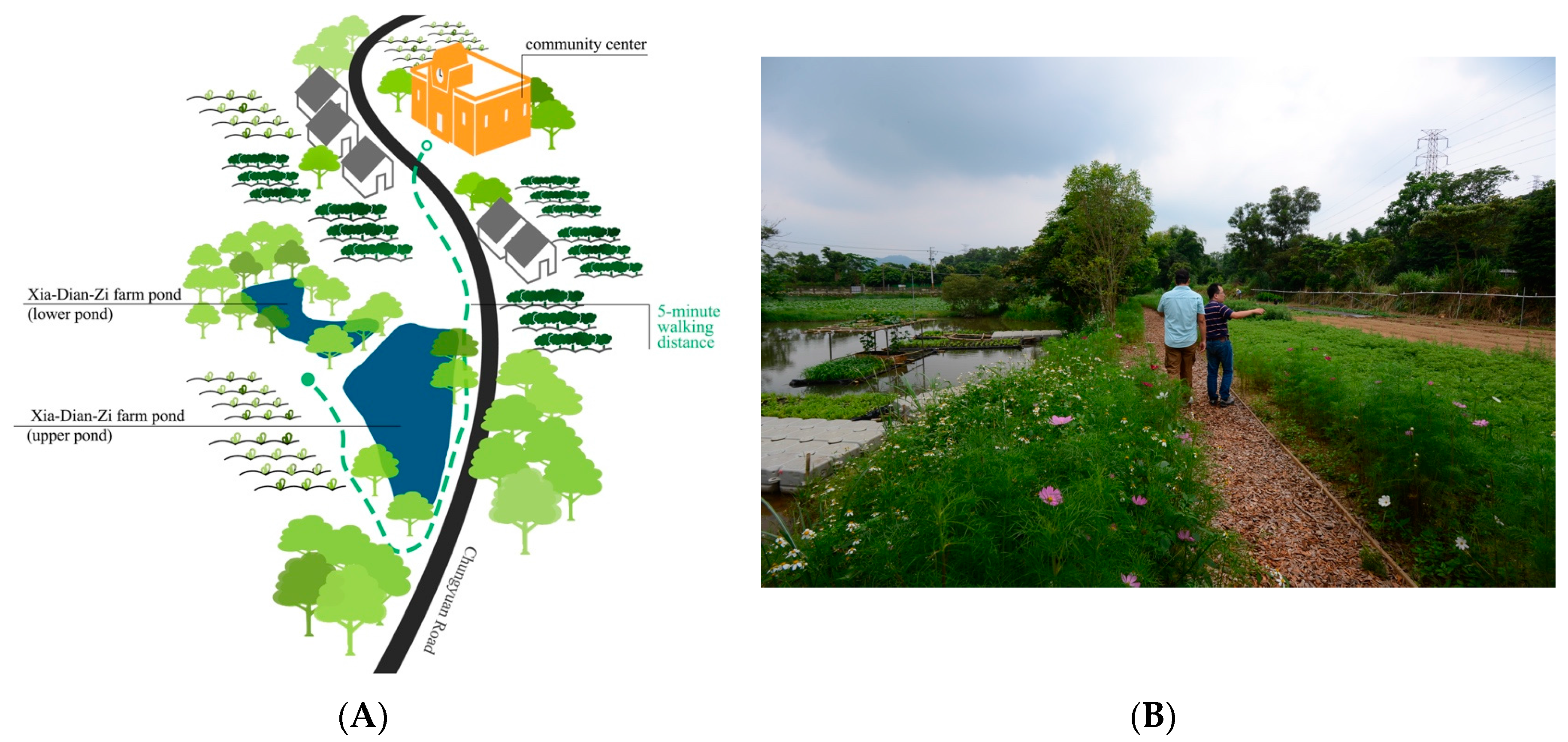 Sustainability 09 02097 g007