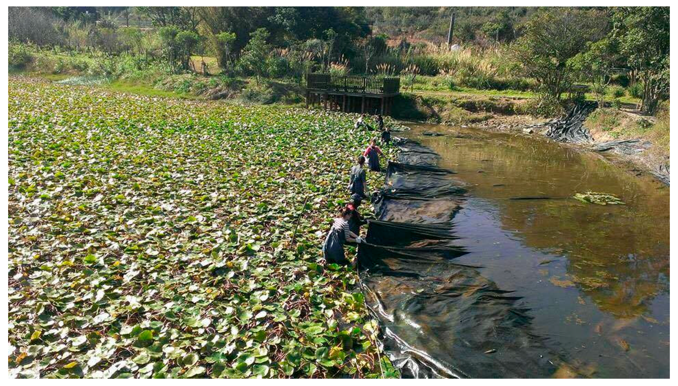 Sustainability 09 02097 g009