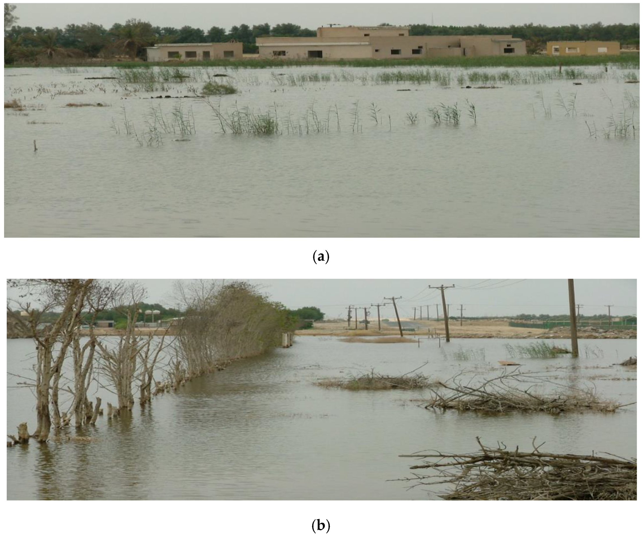 Sustainability 09 02131 sch001