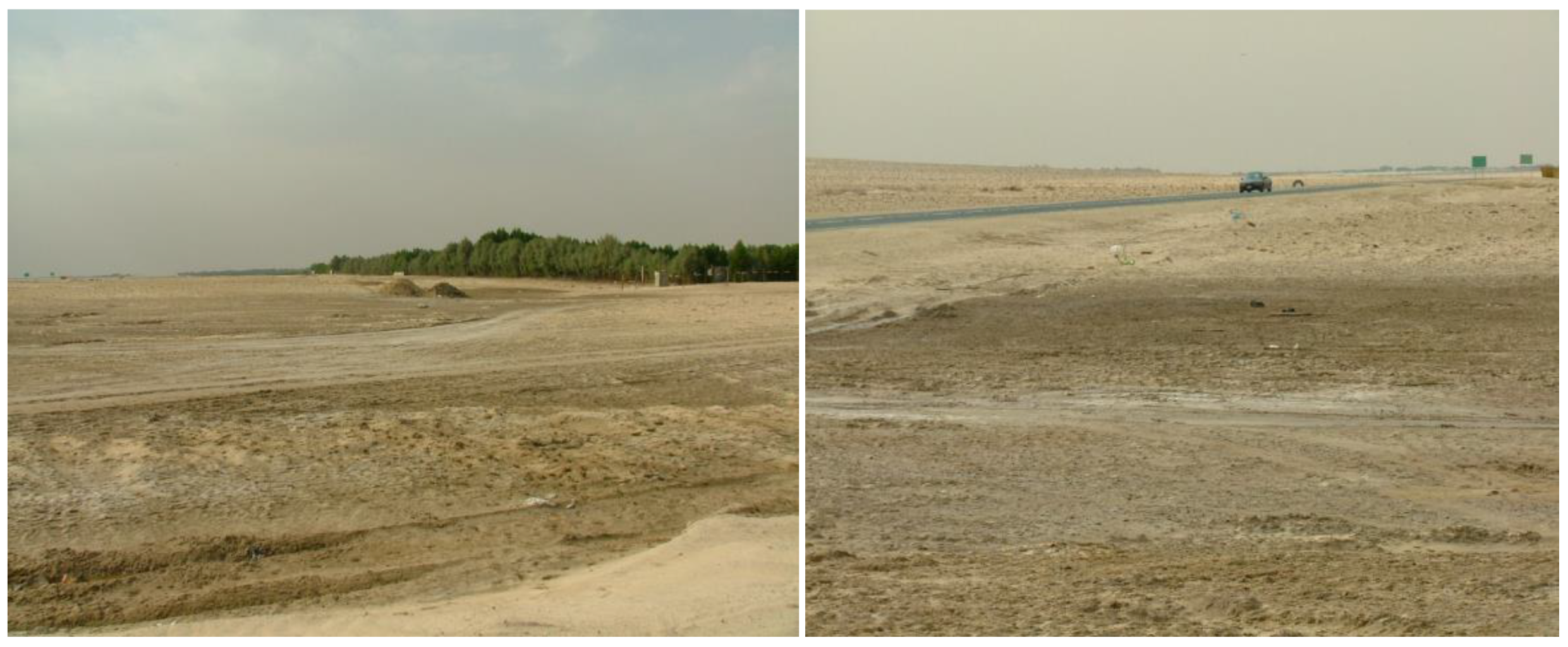 Sustainability 09 02131 sch002