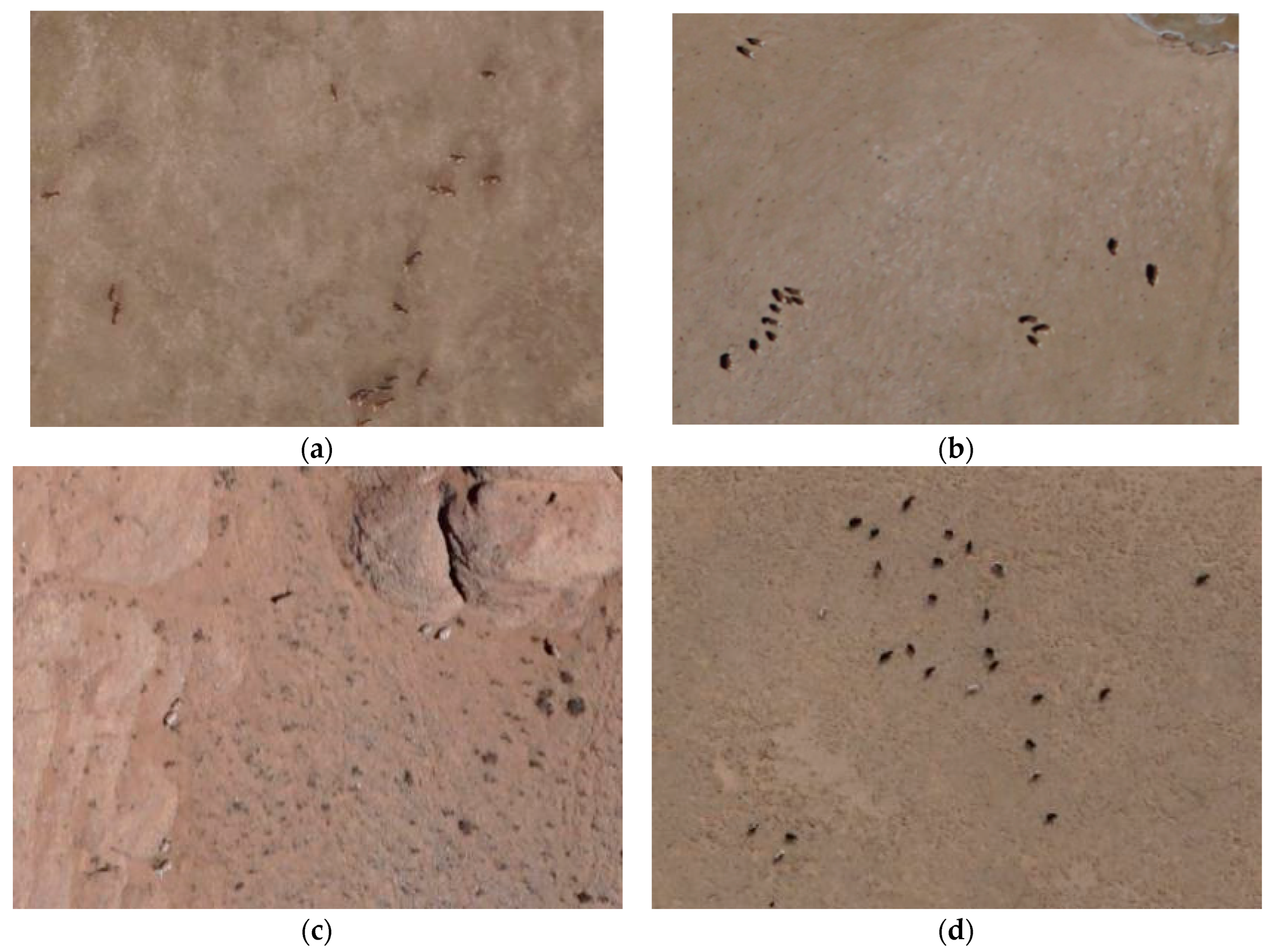 Sustainability 10 00340 g002a