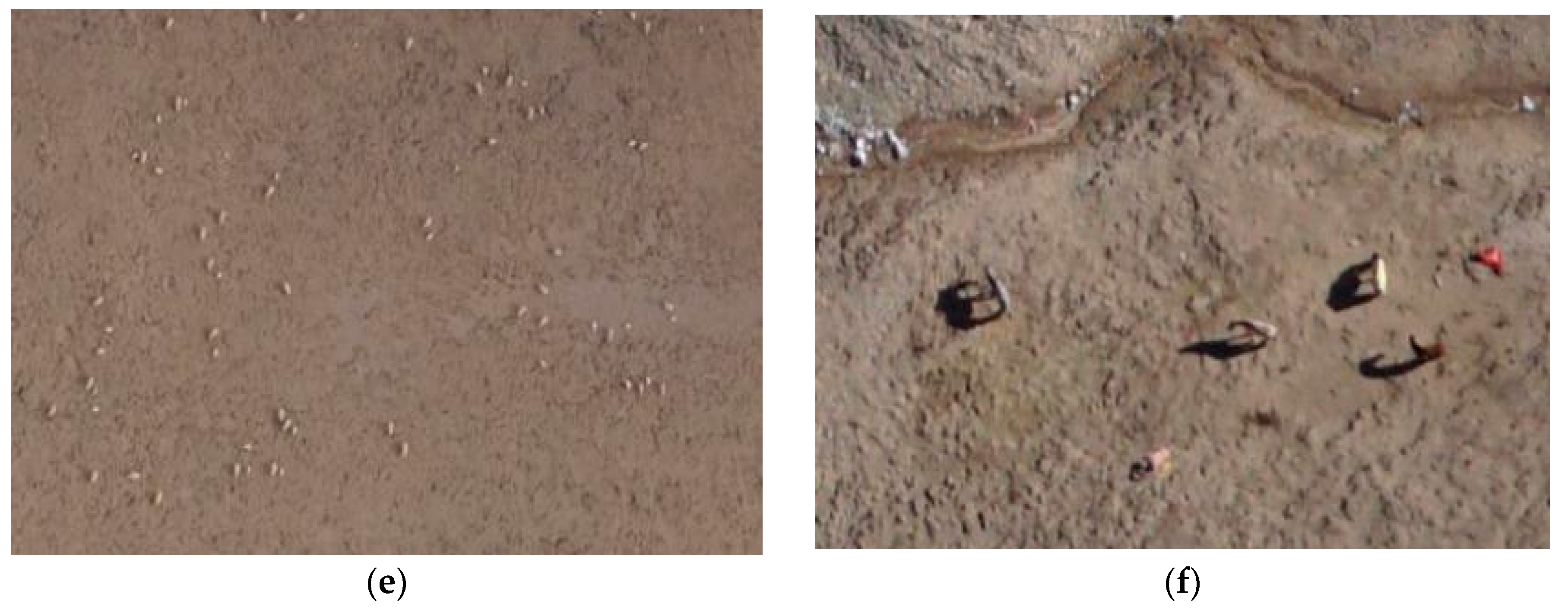 Sustainability 10 00340 g002b