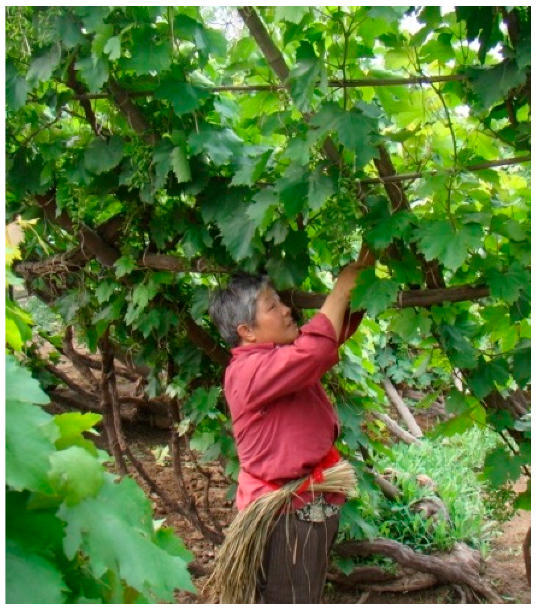 Sustainability 10 00361 g003