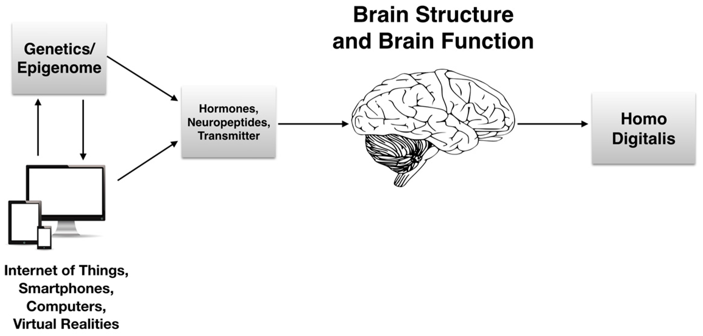 Sustainability 10 00415 g002