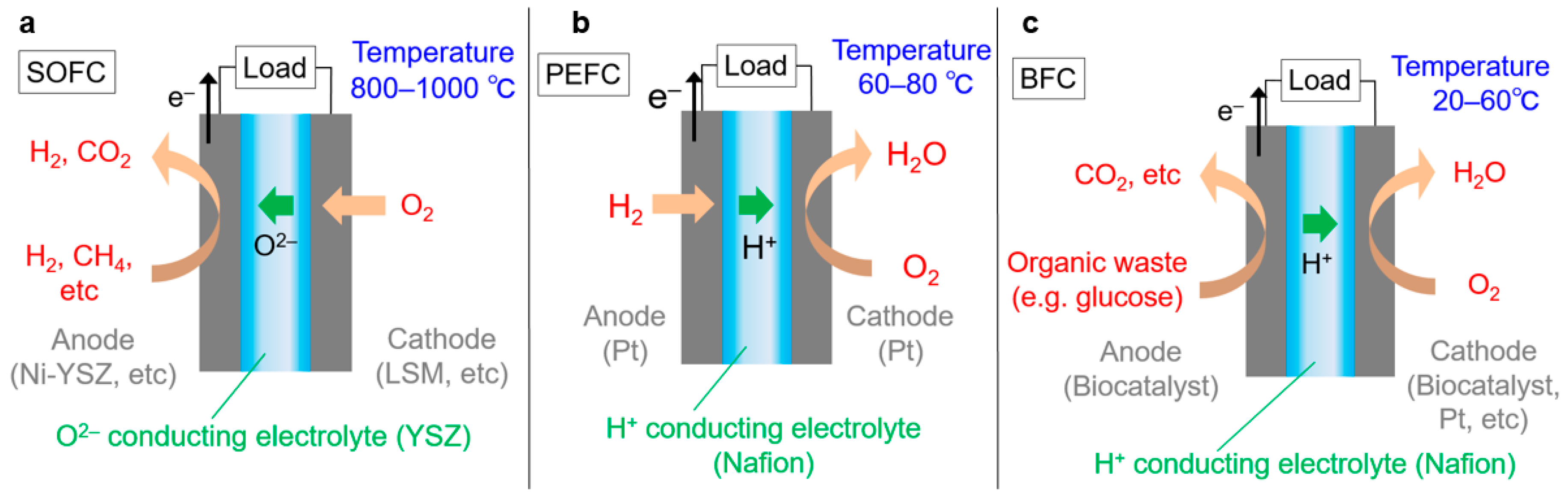 Sustainability 10 00458 g001