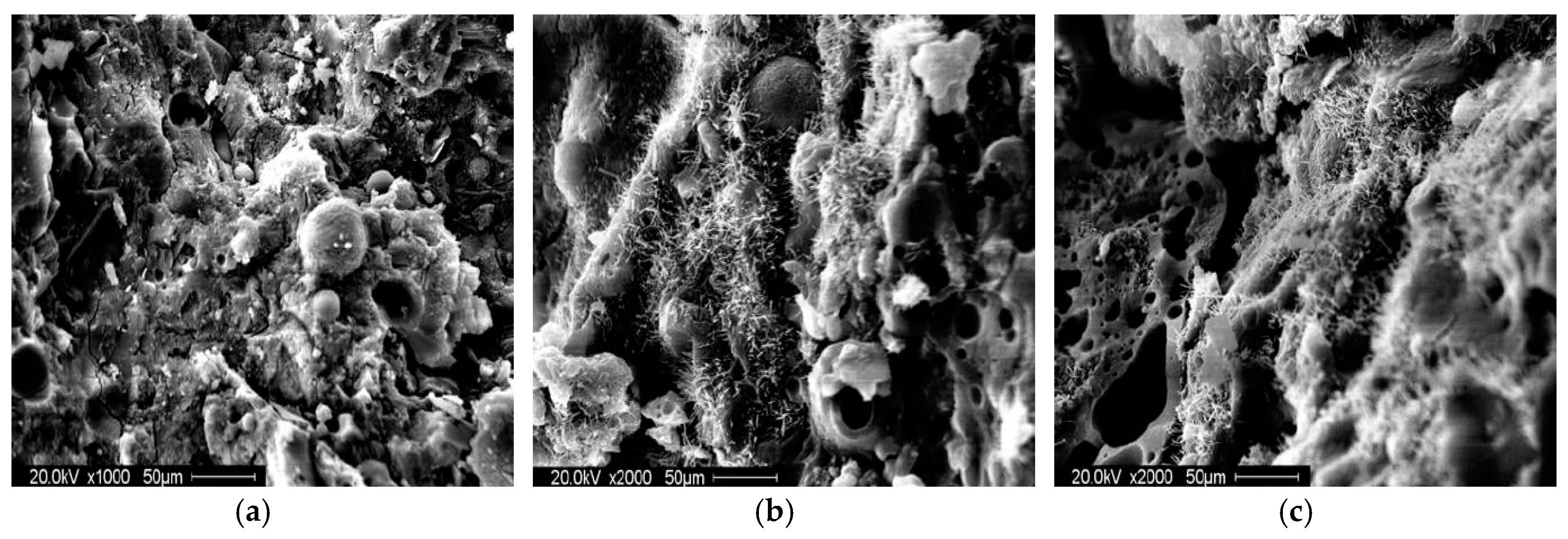 Sustainability 10 00470 g007