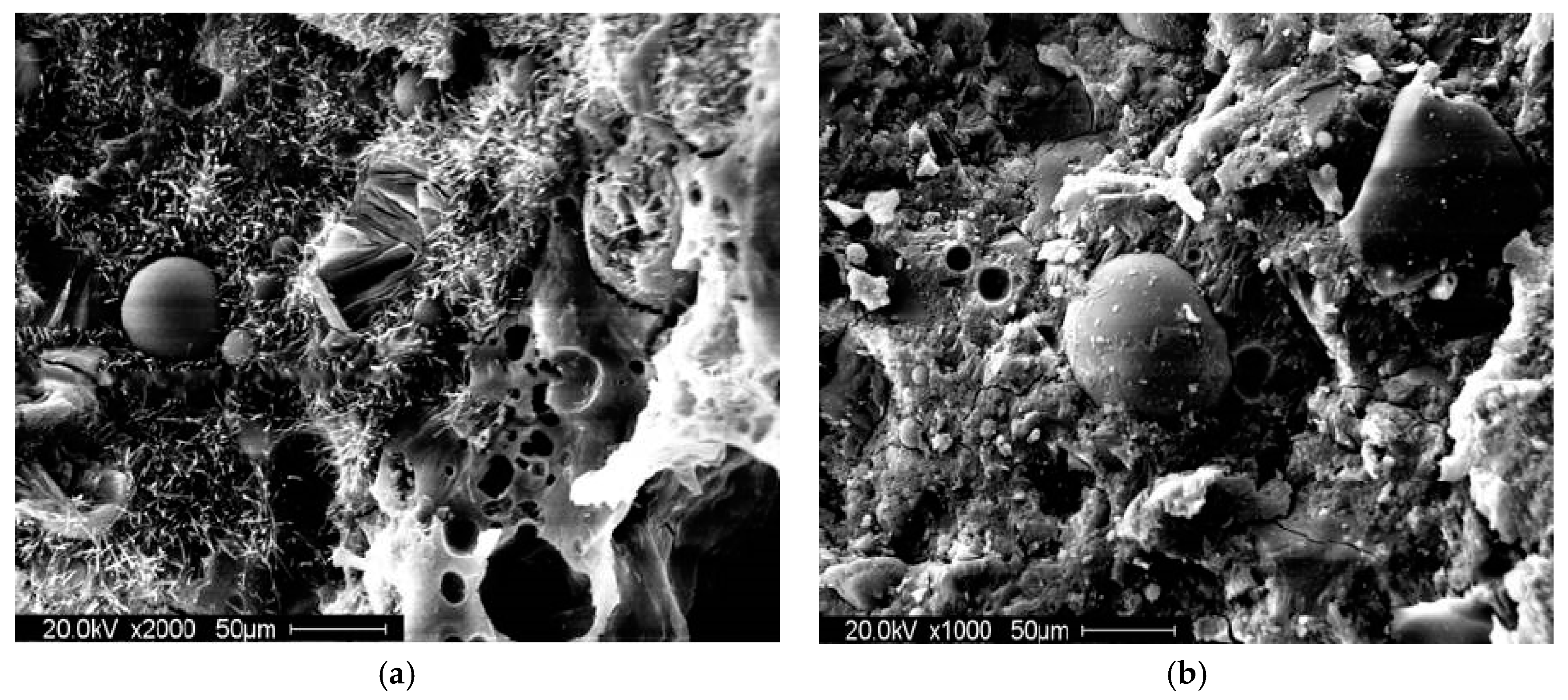 Sustainability 10 00470 g008