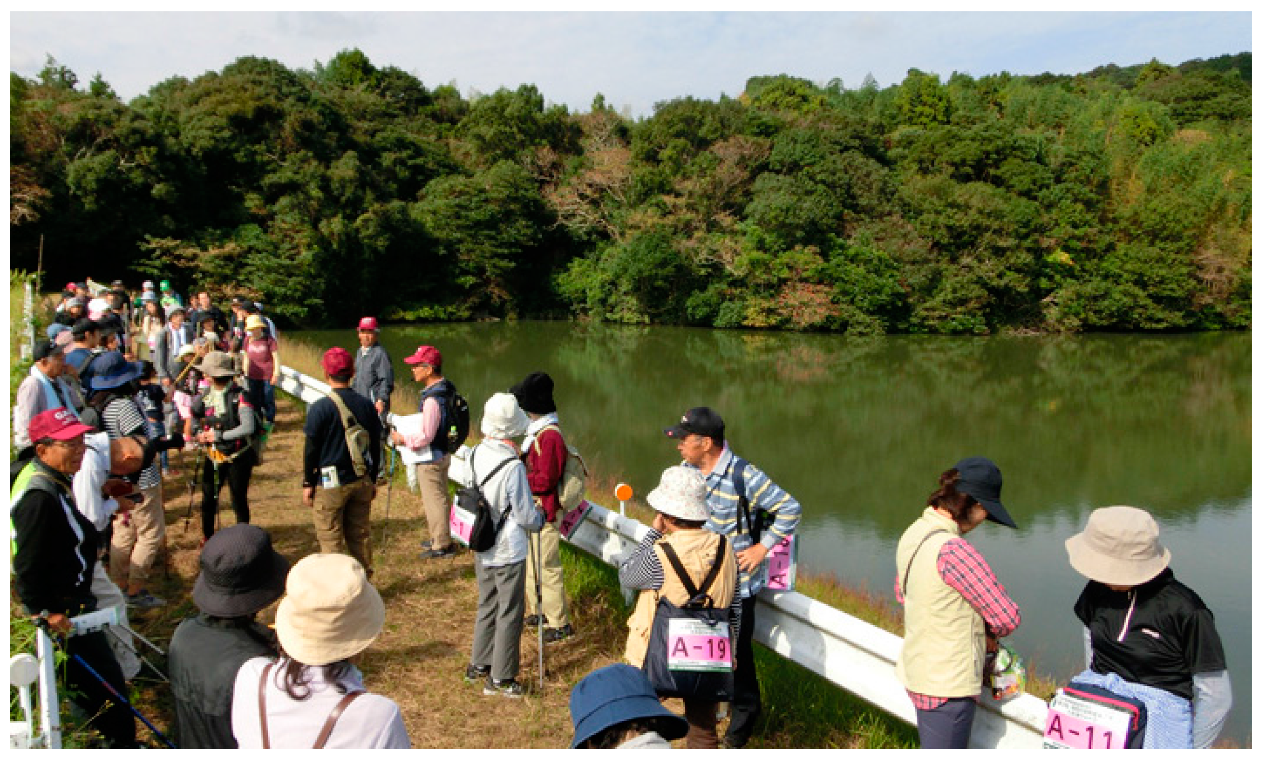 Sustainability 10 00497 g002