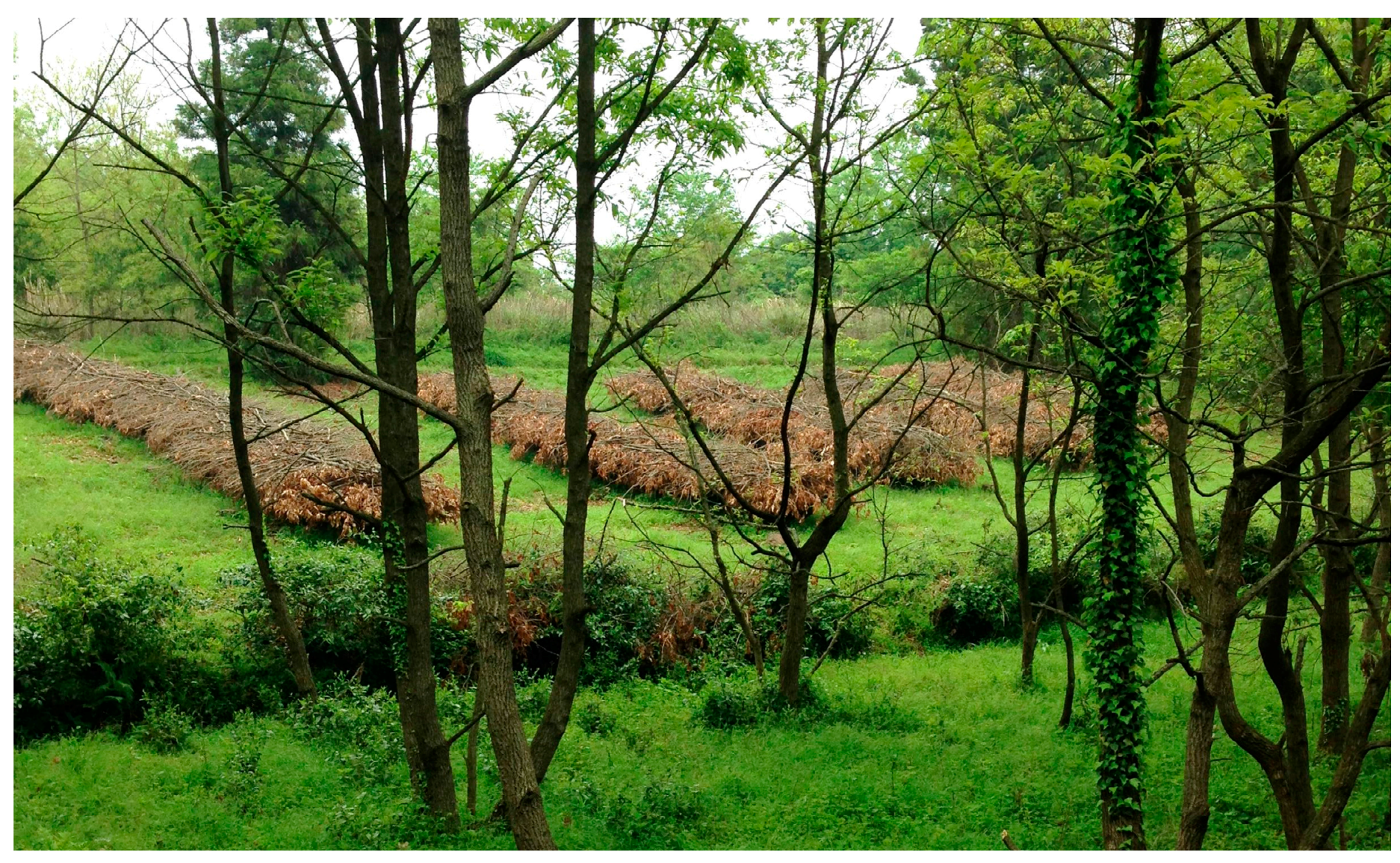 Sustainability 10 00497 g003