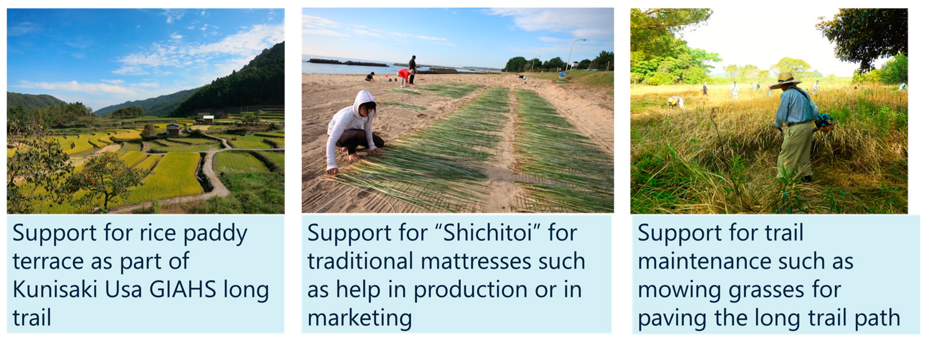 Sustainability 10 00497 g004