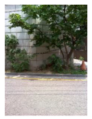 Sustainability 10 00519 i037