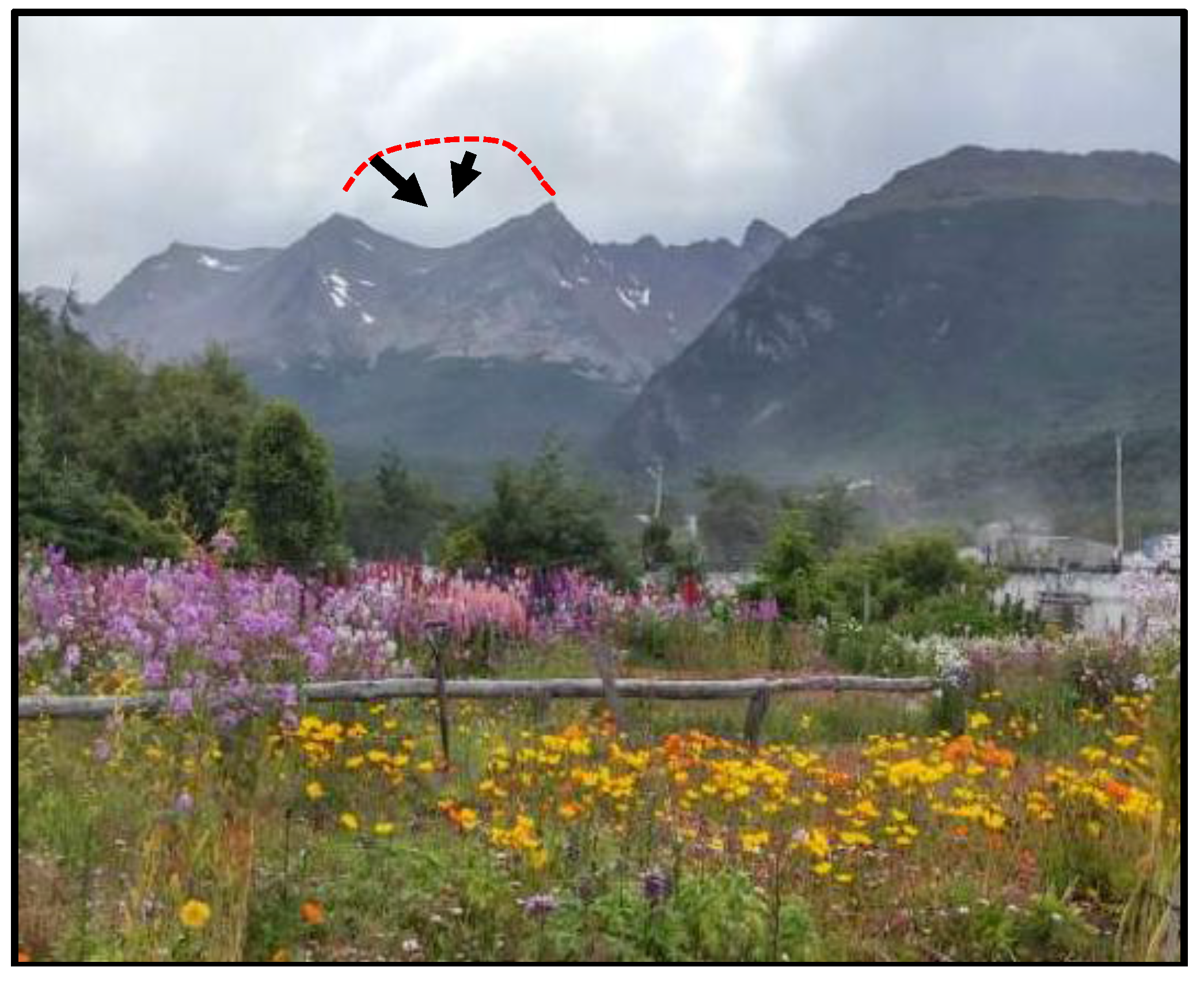 Sustainability 10 00548 g001