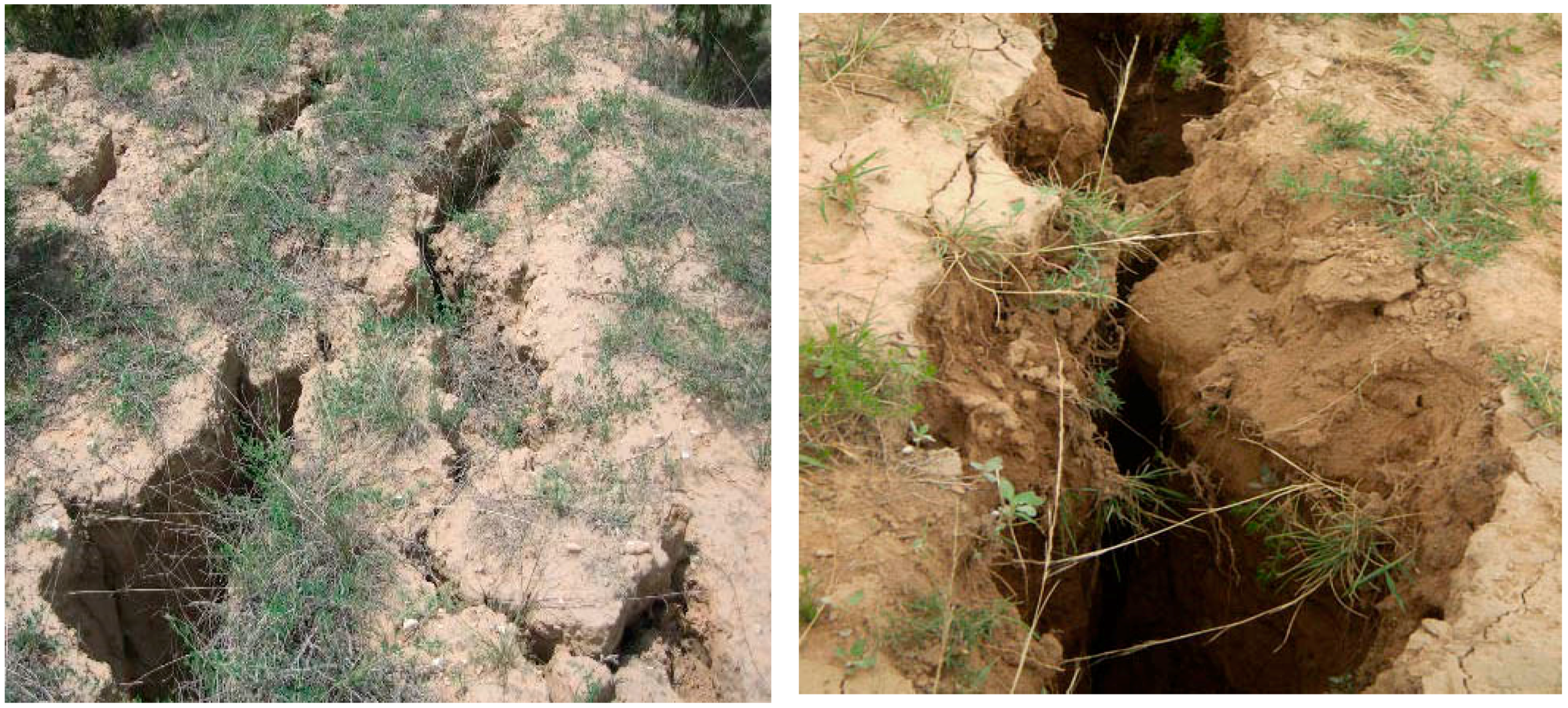 Sustainability 10 00631 g013