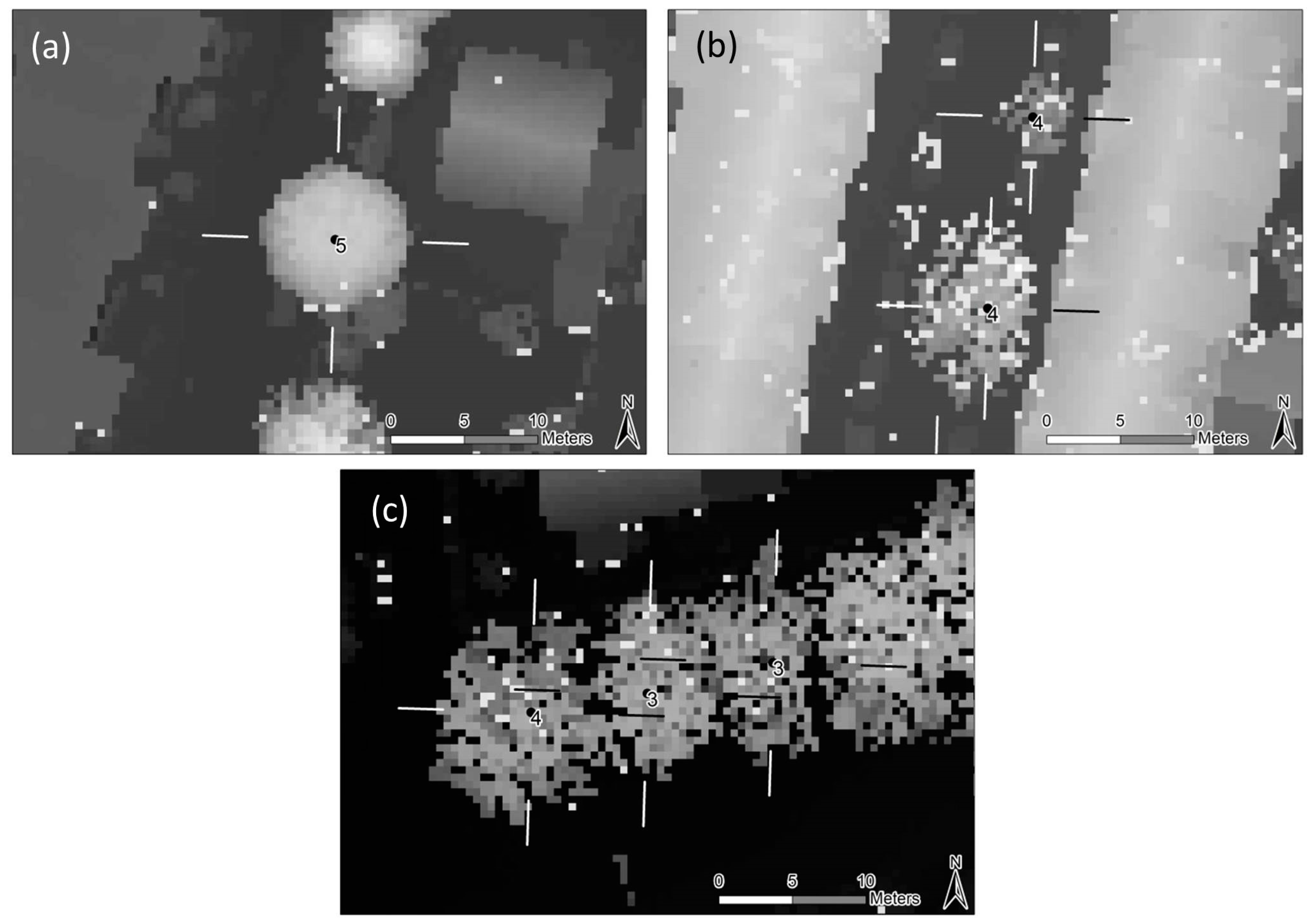 Sustainability 10 00712 g003