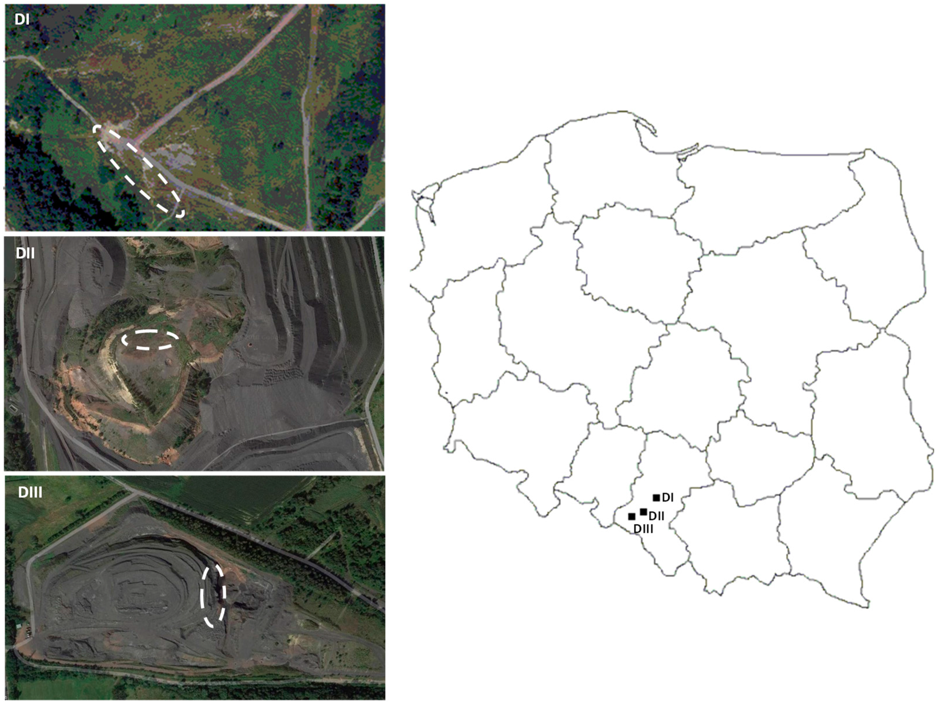 Sustainability 10 00744 g001