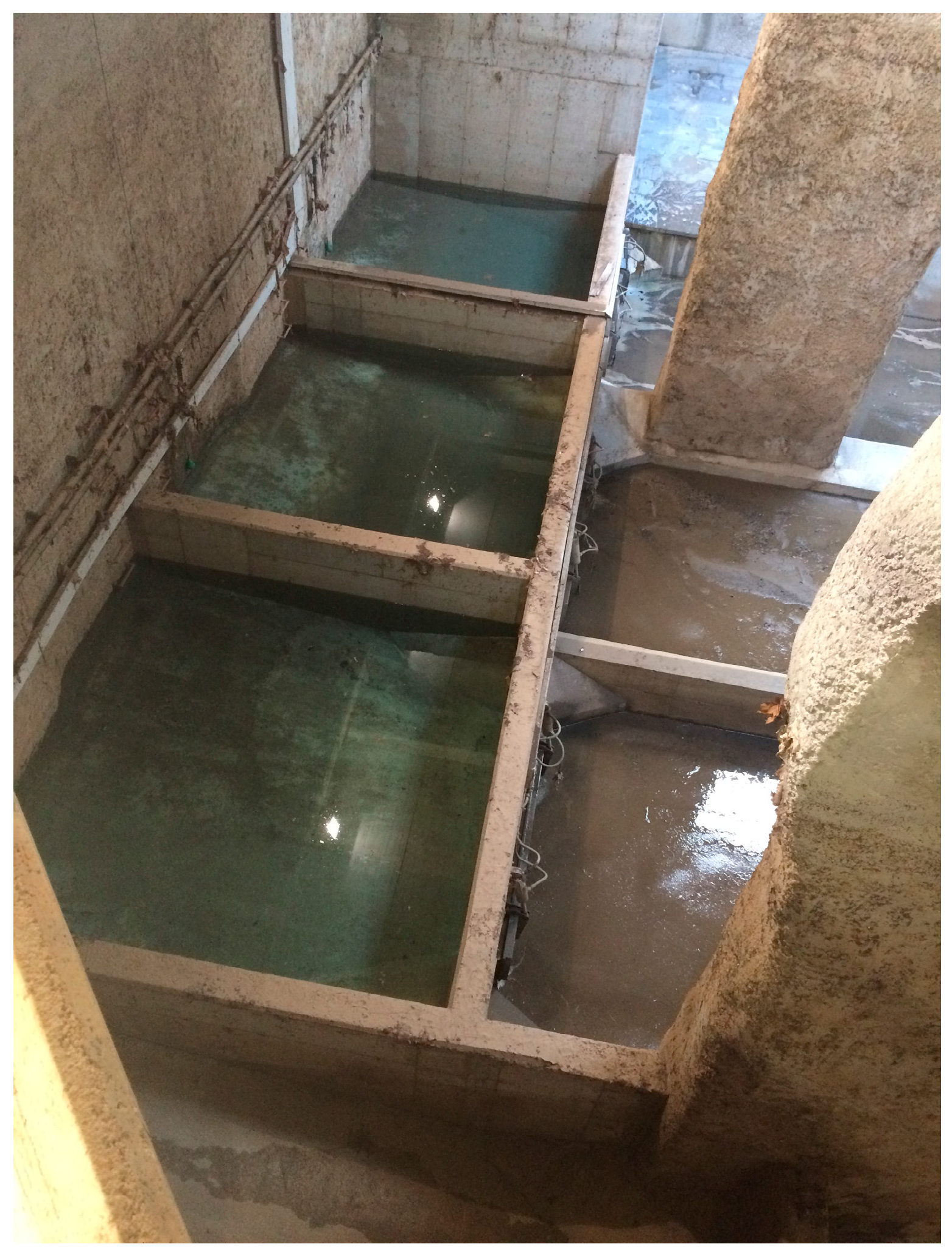 Sustainability 10 00745 g001