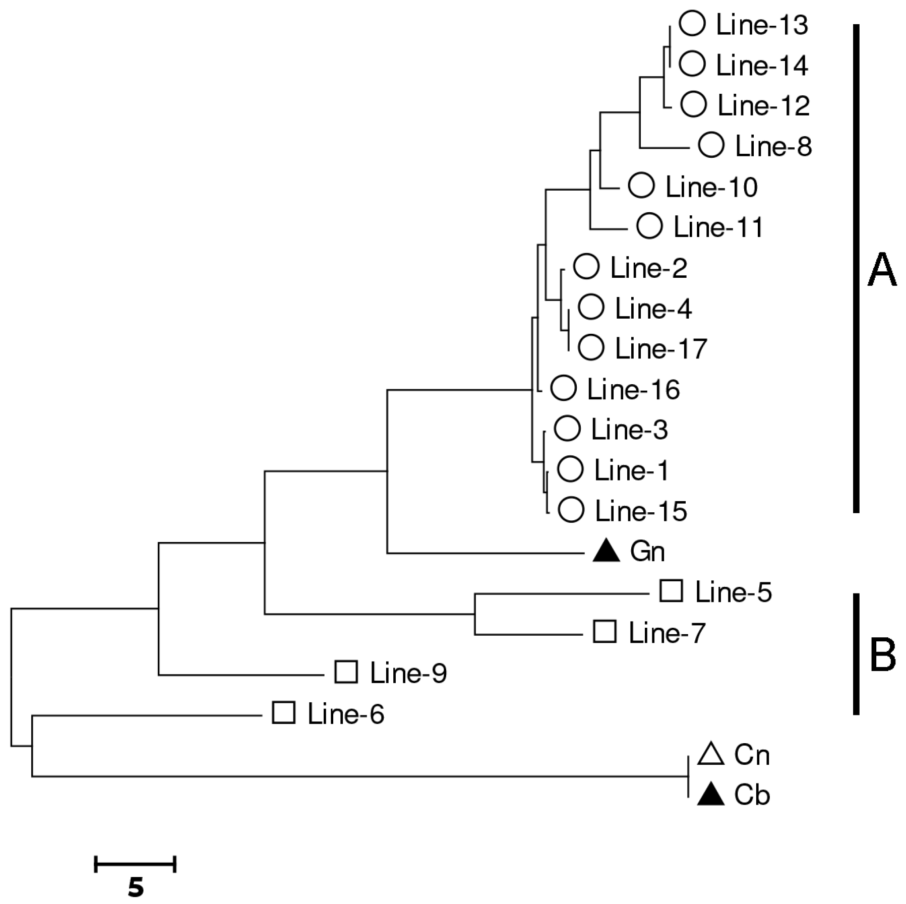 Sustainability 10 00777 g004