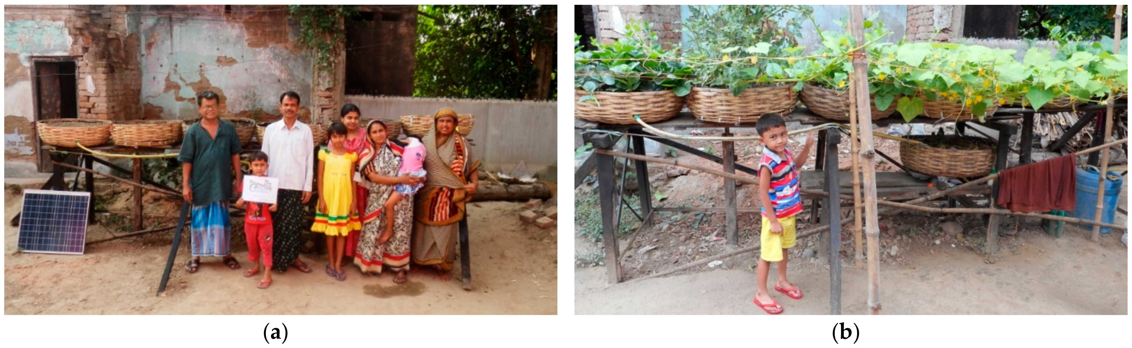 Sustainability 10 00801 g008