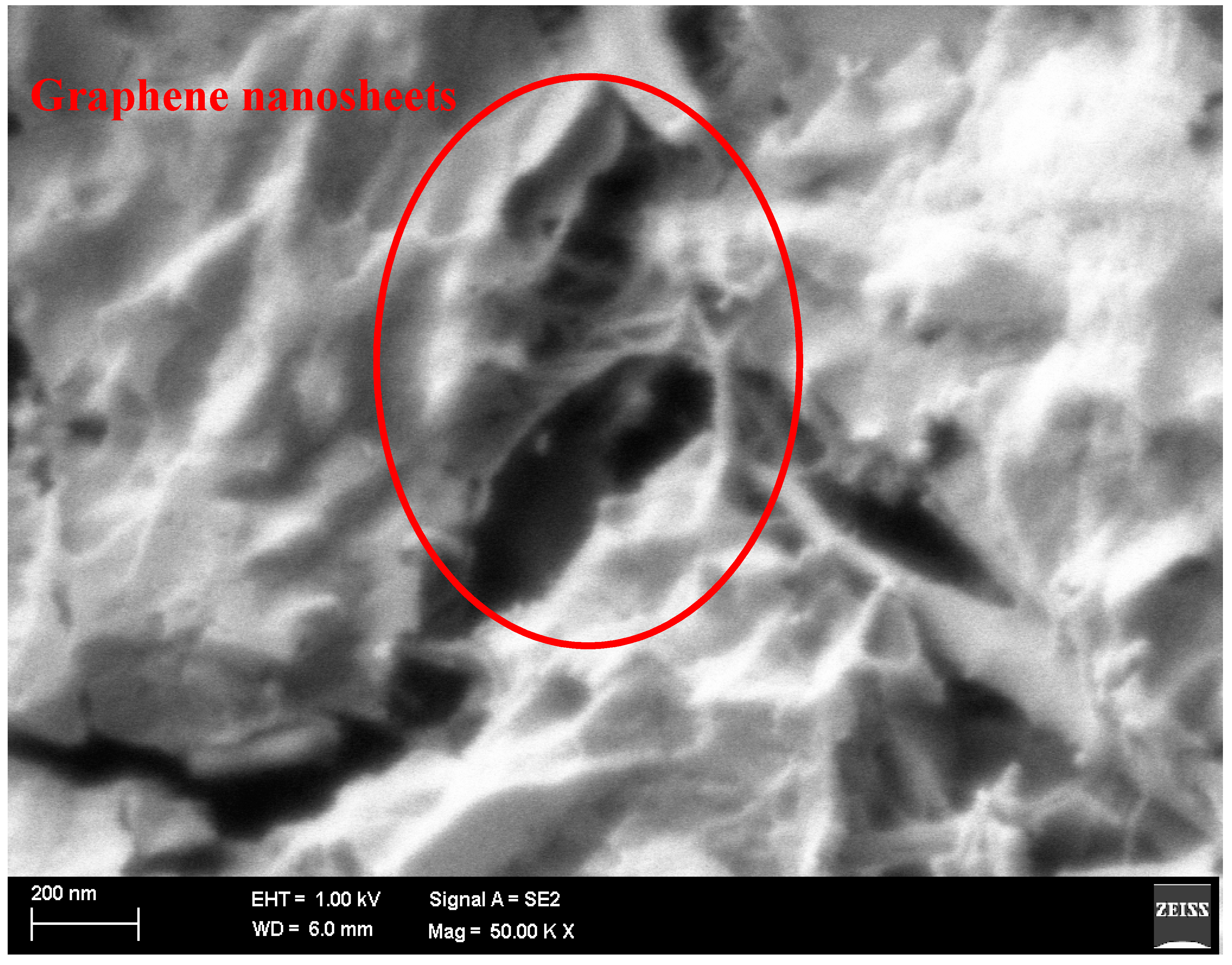 Sustainability 10 00822 g009