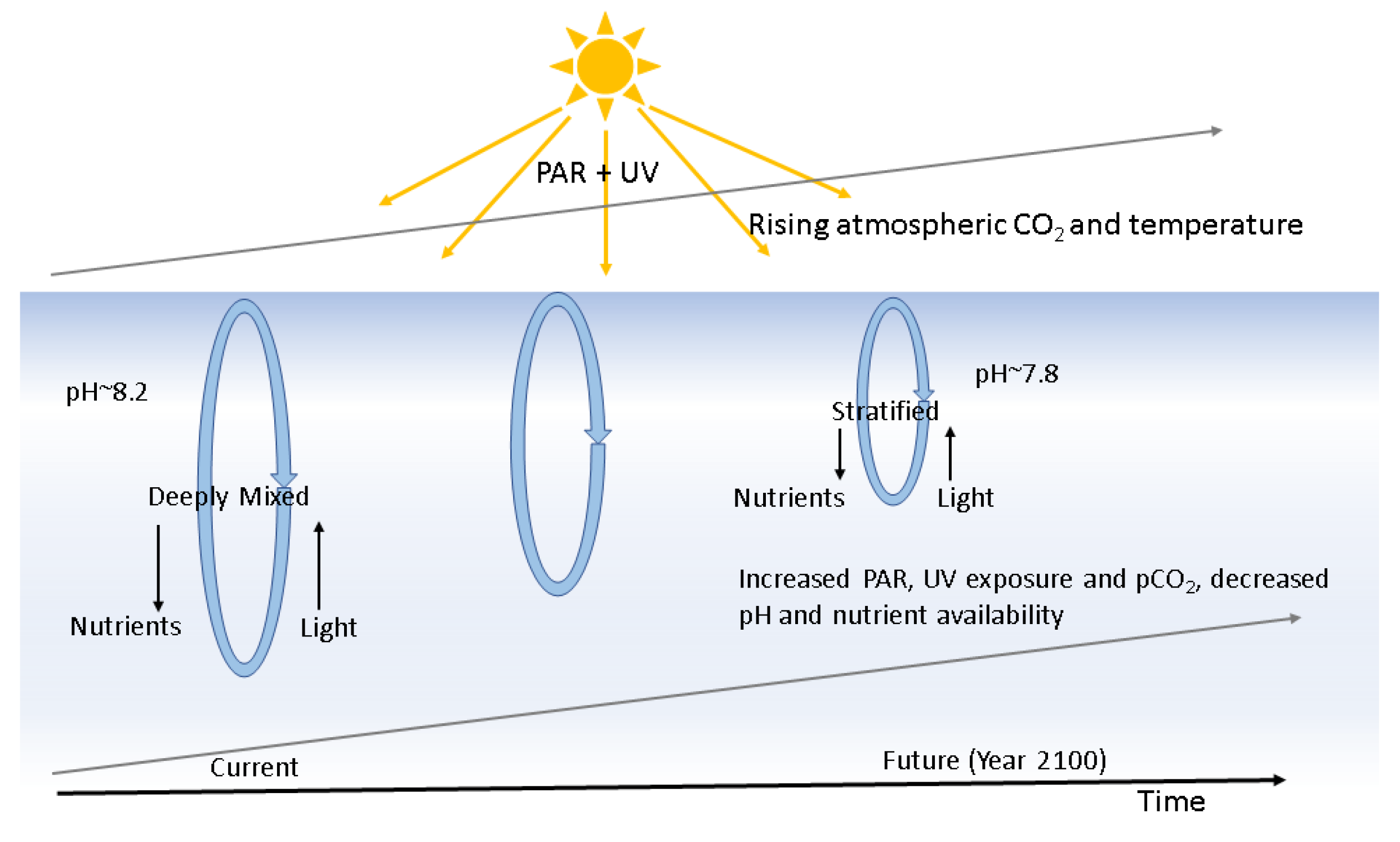 Sustainability 10 00869 g001
