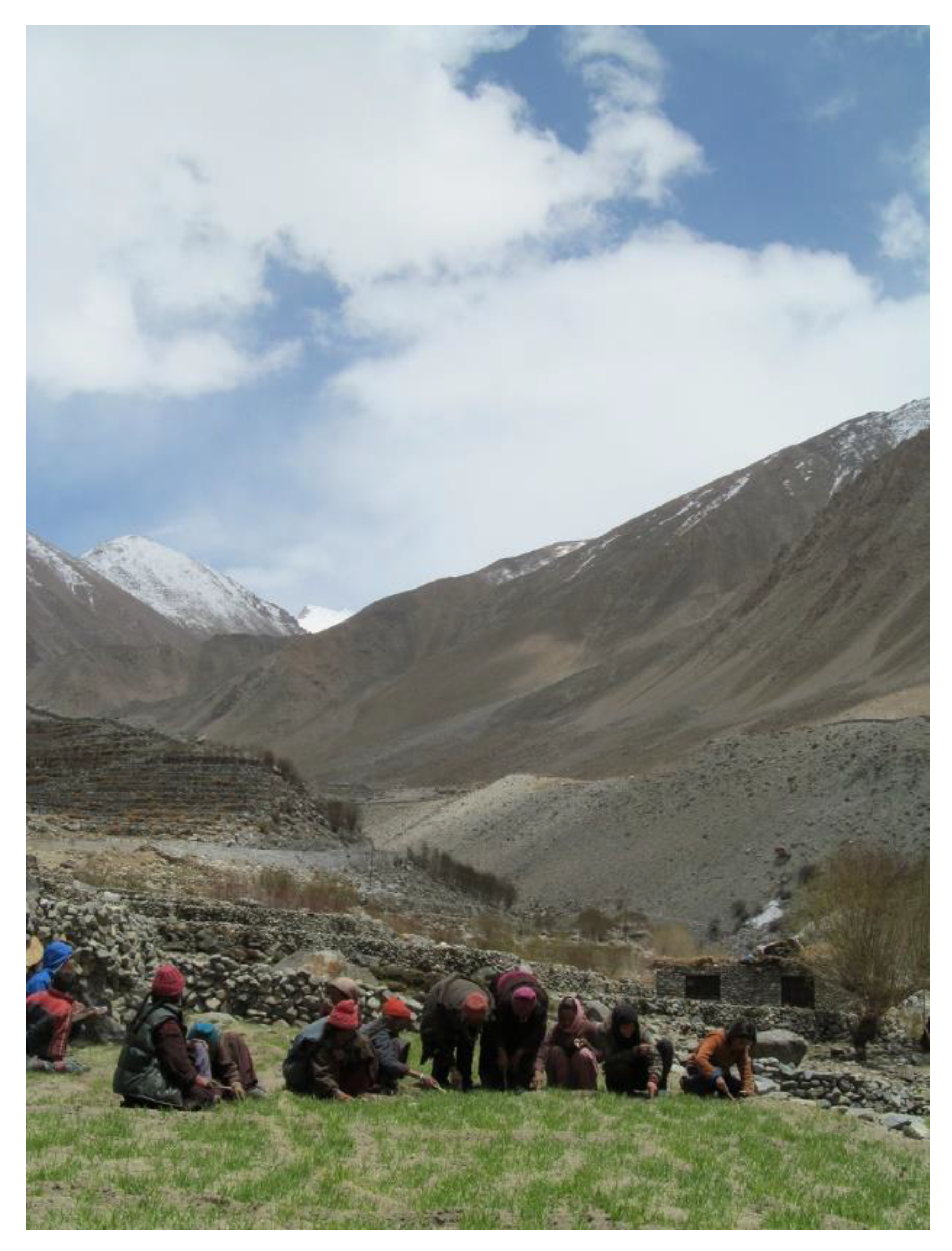 Sustainability 10 00898 g003