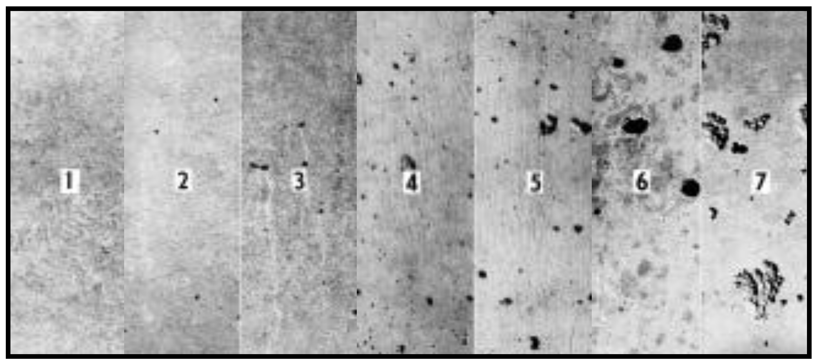 Sustainability 10 00931 g003