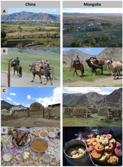 Sustainability 10 01011 g0a3 550